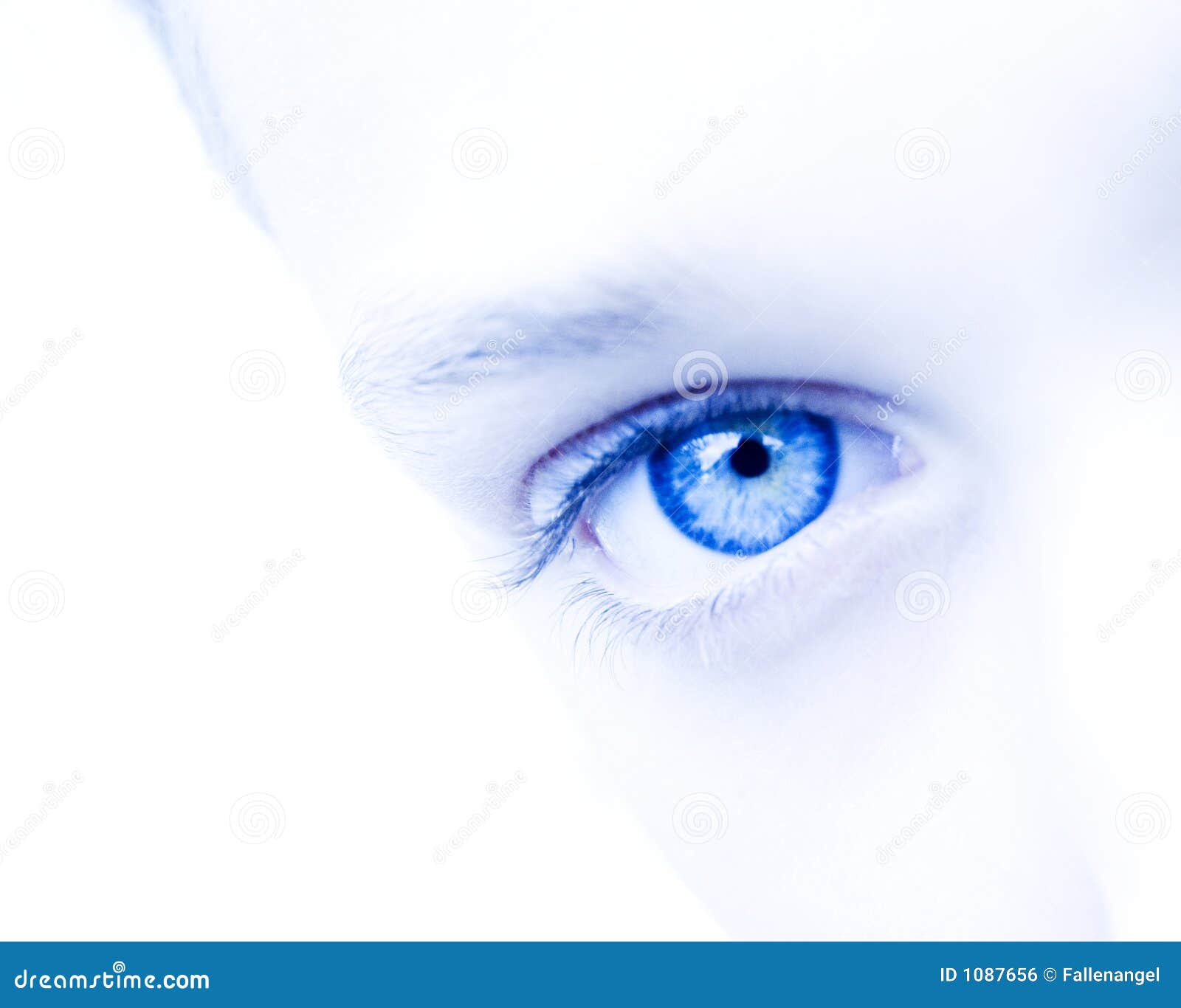 Ojo azul foto de archivo. Imagen de cejas, diafragma, cierre 1087656