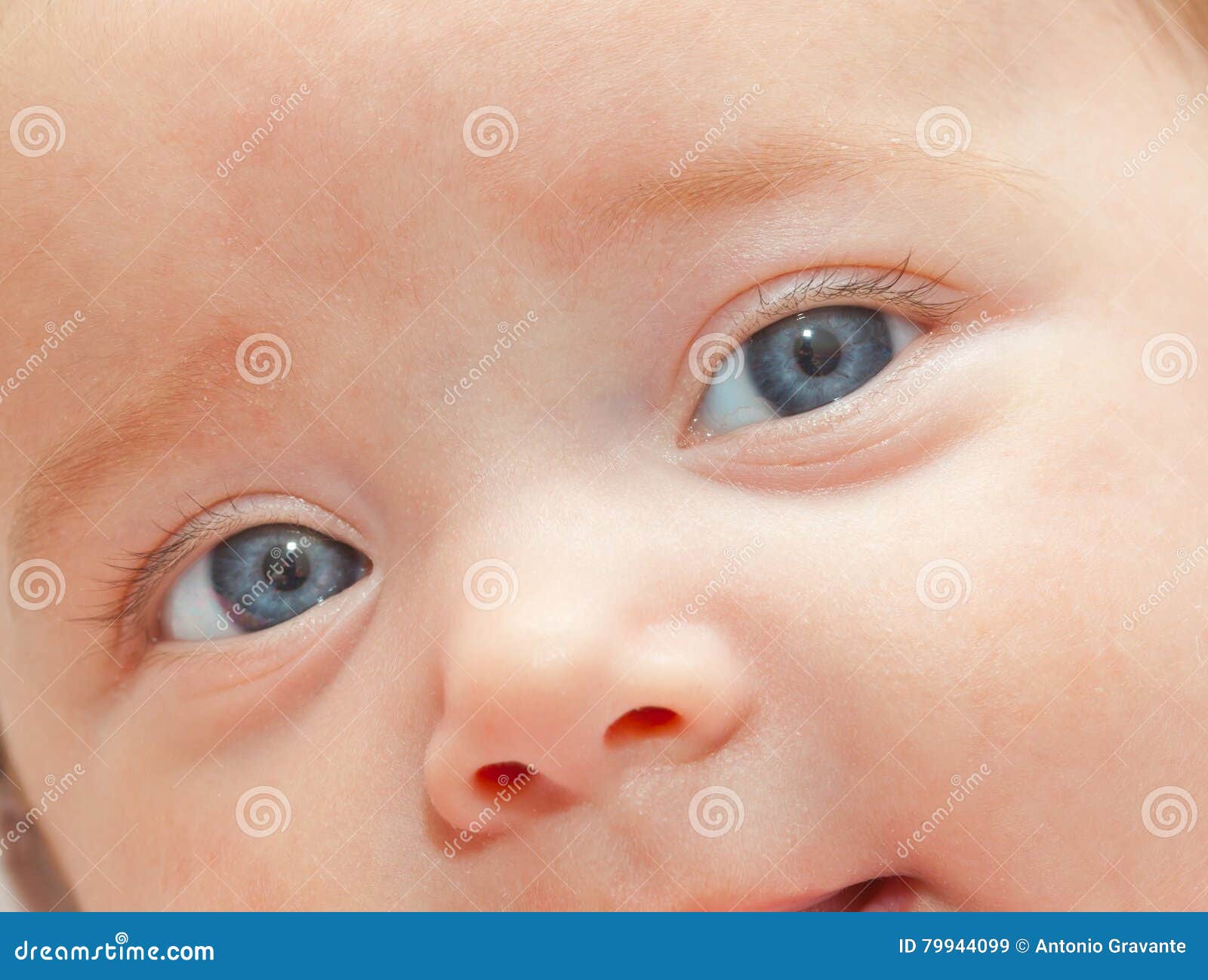 Ojos azules recién nacidos imagen de archivo. Imagen de piel 79944099