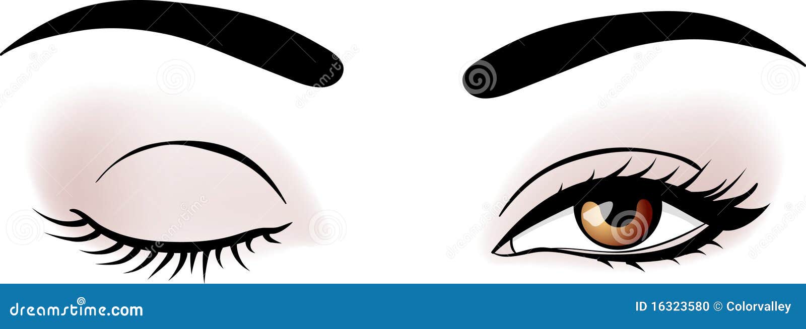 Ojos De La Mujer Del Vector Ilustración del Vector Ilustración de