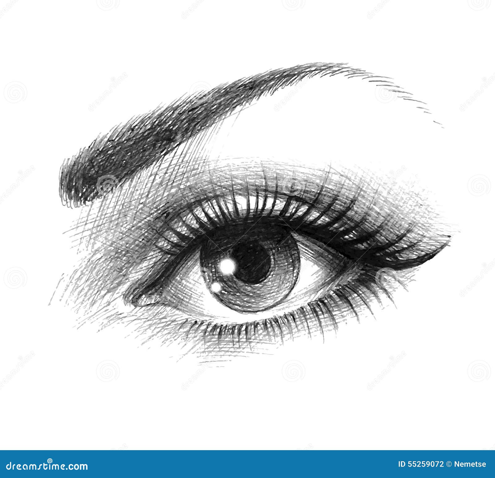 Ojos Hermosos De Una Mujer Joven Ilustración del Vector - Ilustración de  icono, mirando: 55259072