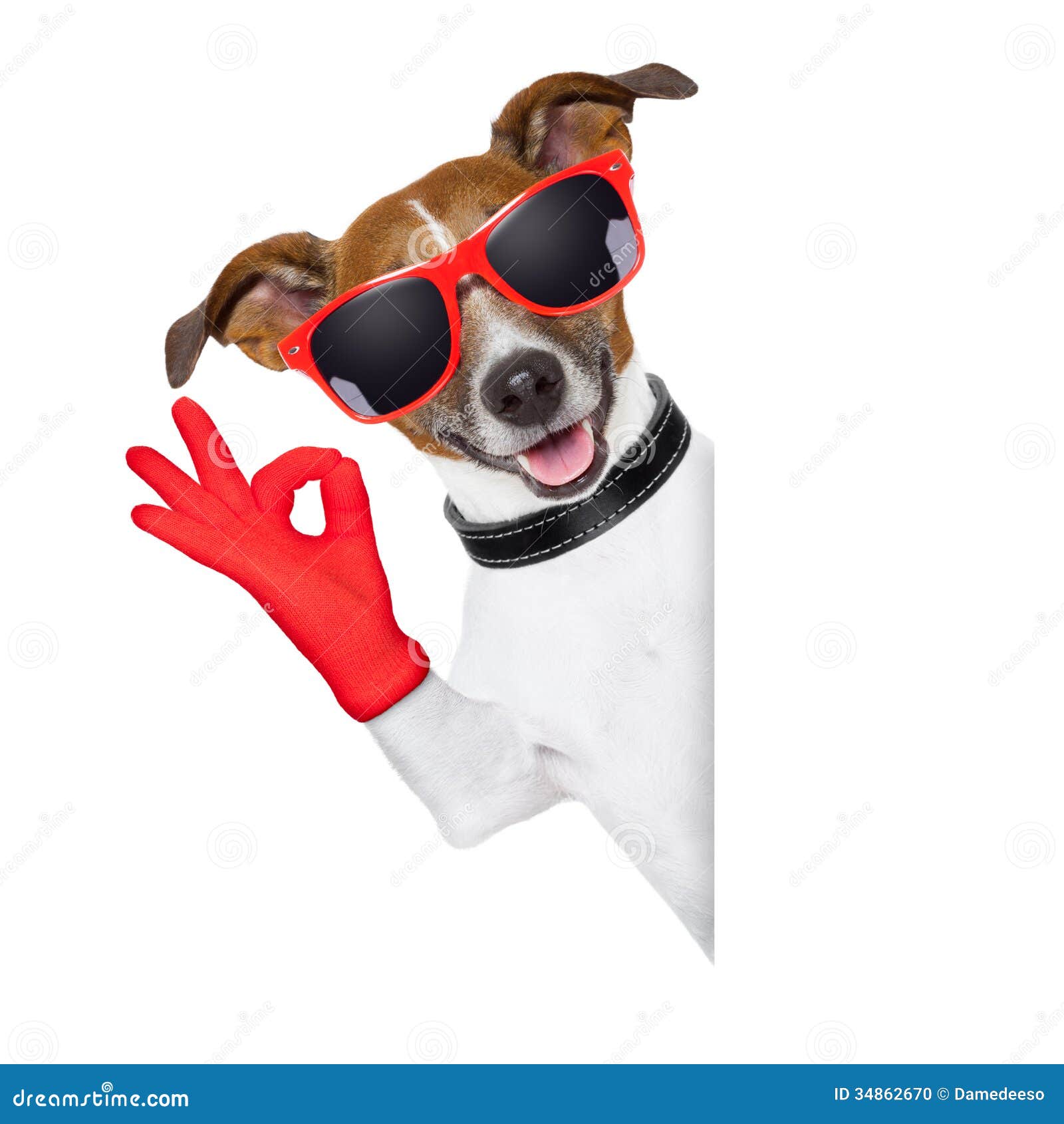 ok fingers dog red gloves glasses behind banner 34862670