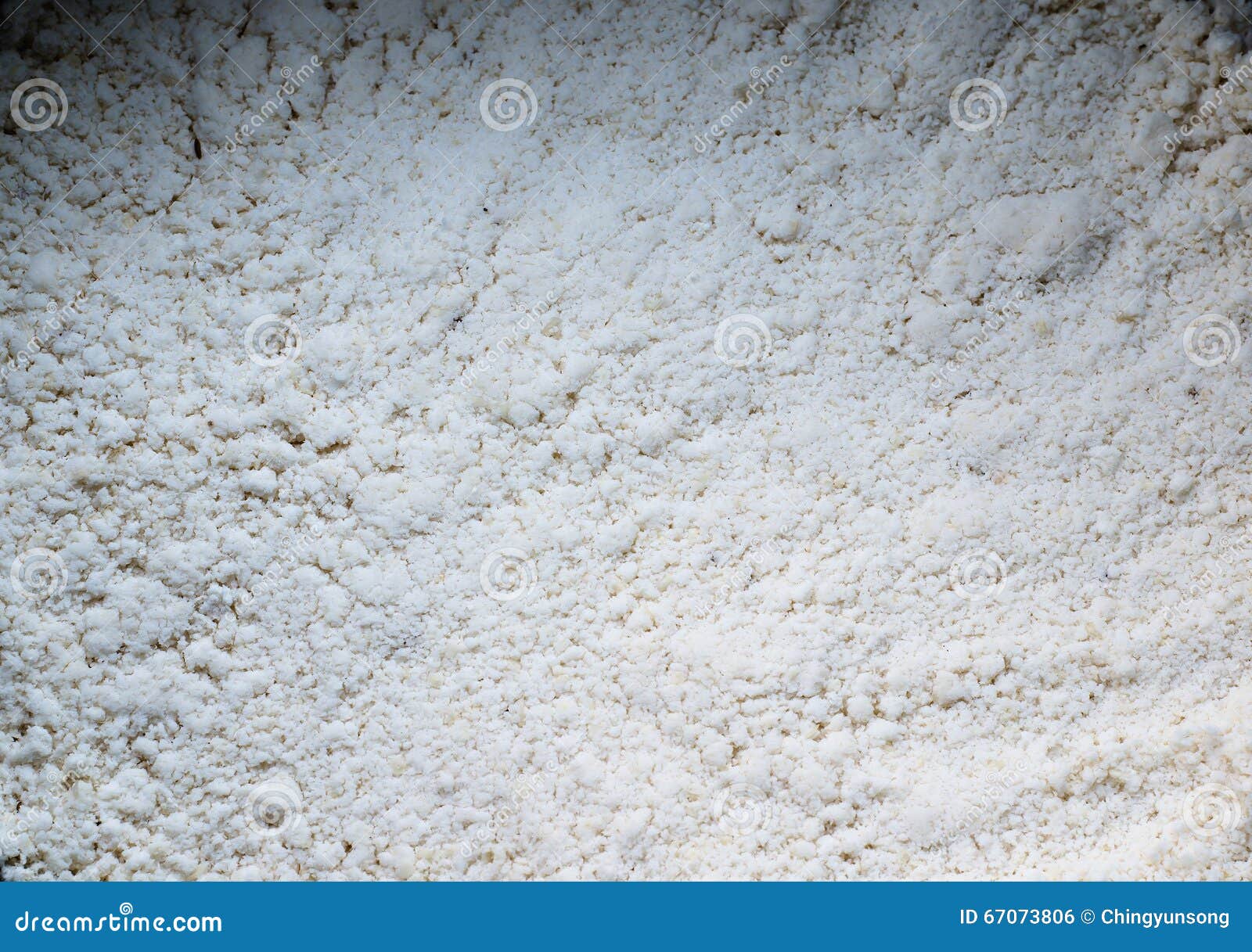 Okara, tofu lees, soy pulp stock photo. Image of tofu - 67073806