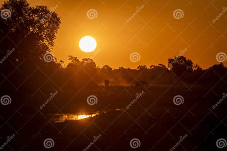 Okavango Delta, this Delta in North-west Botswana Comprises Permanent …