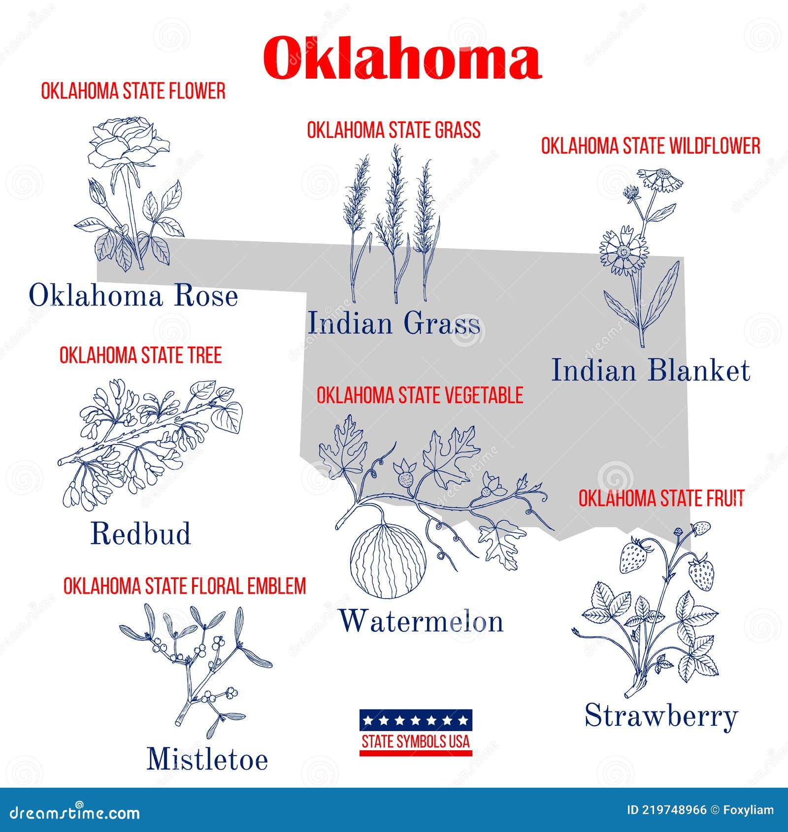 Oklahoma Set Of Usa Official State Symbols Stock Vector Illustration