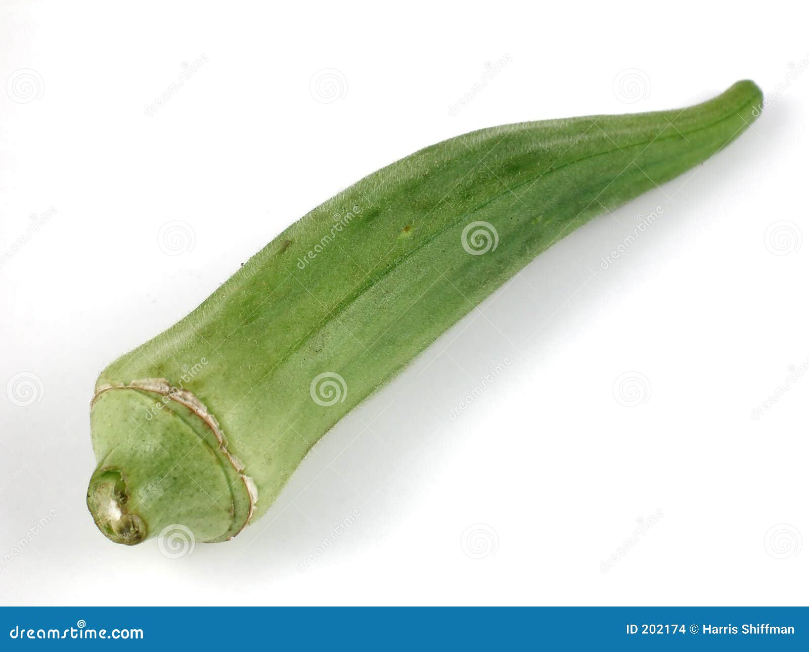 Okra stock photo. Image of southern, green, vegetable, cooking 202174