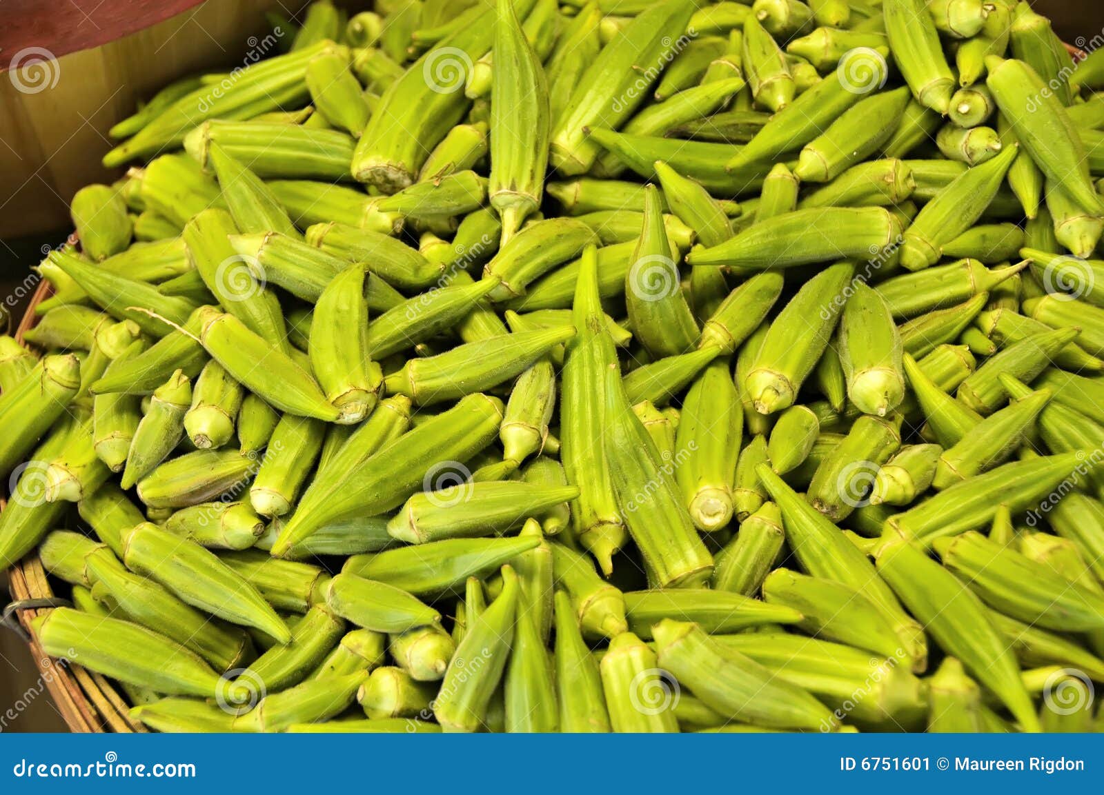Okra stock image. Image of garden, green, backgrounds 6751601