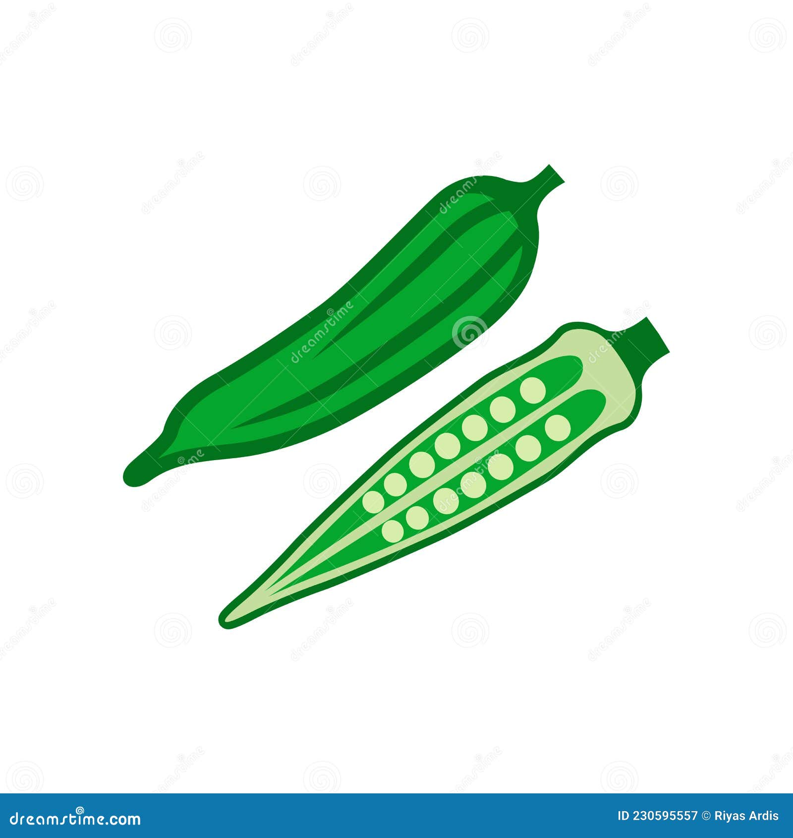 Okra Also Known Ladyfinger Whole and Half Vector Isolated White