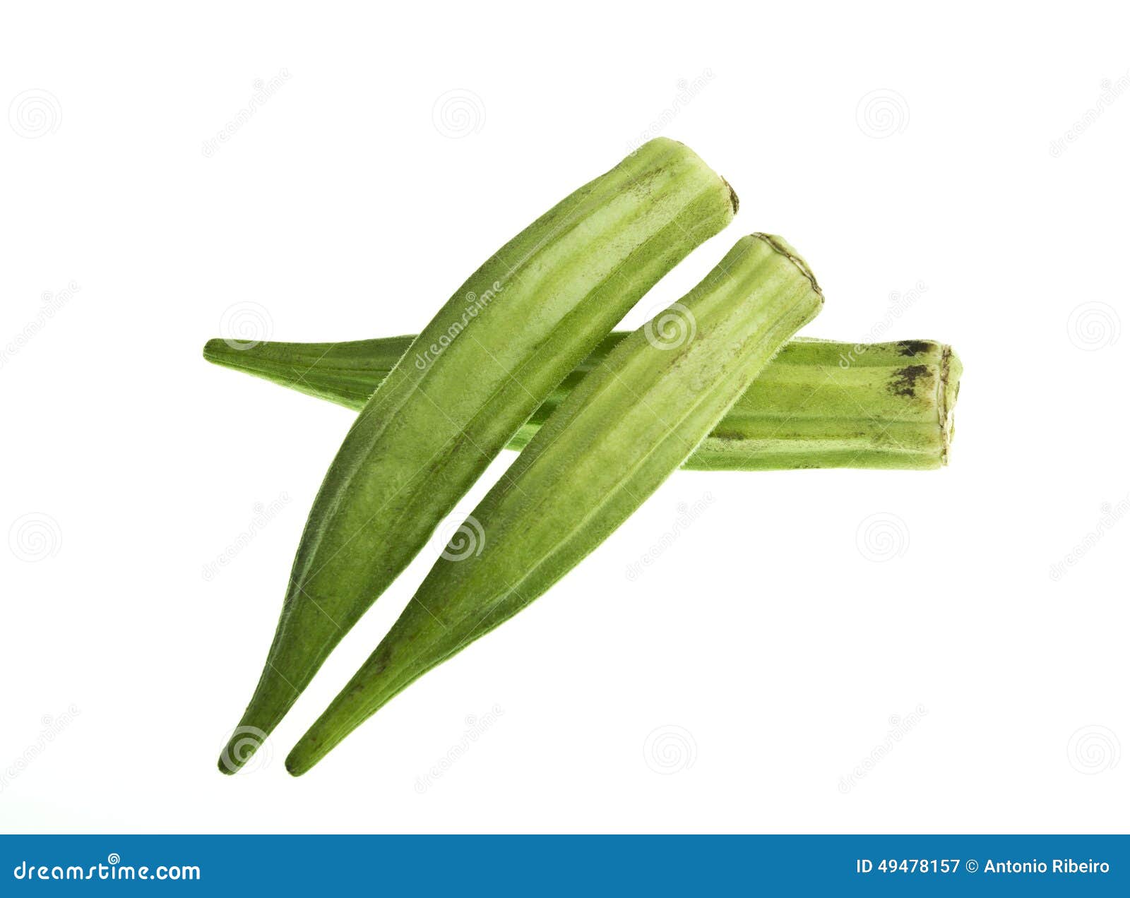 Fresh okra (Abelmoschus esculentus) isolated on a white background