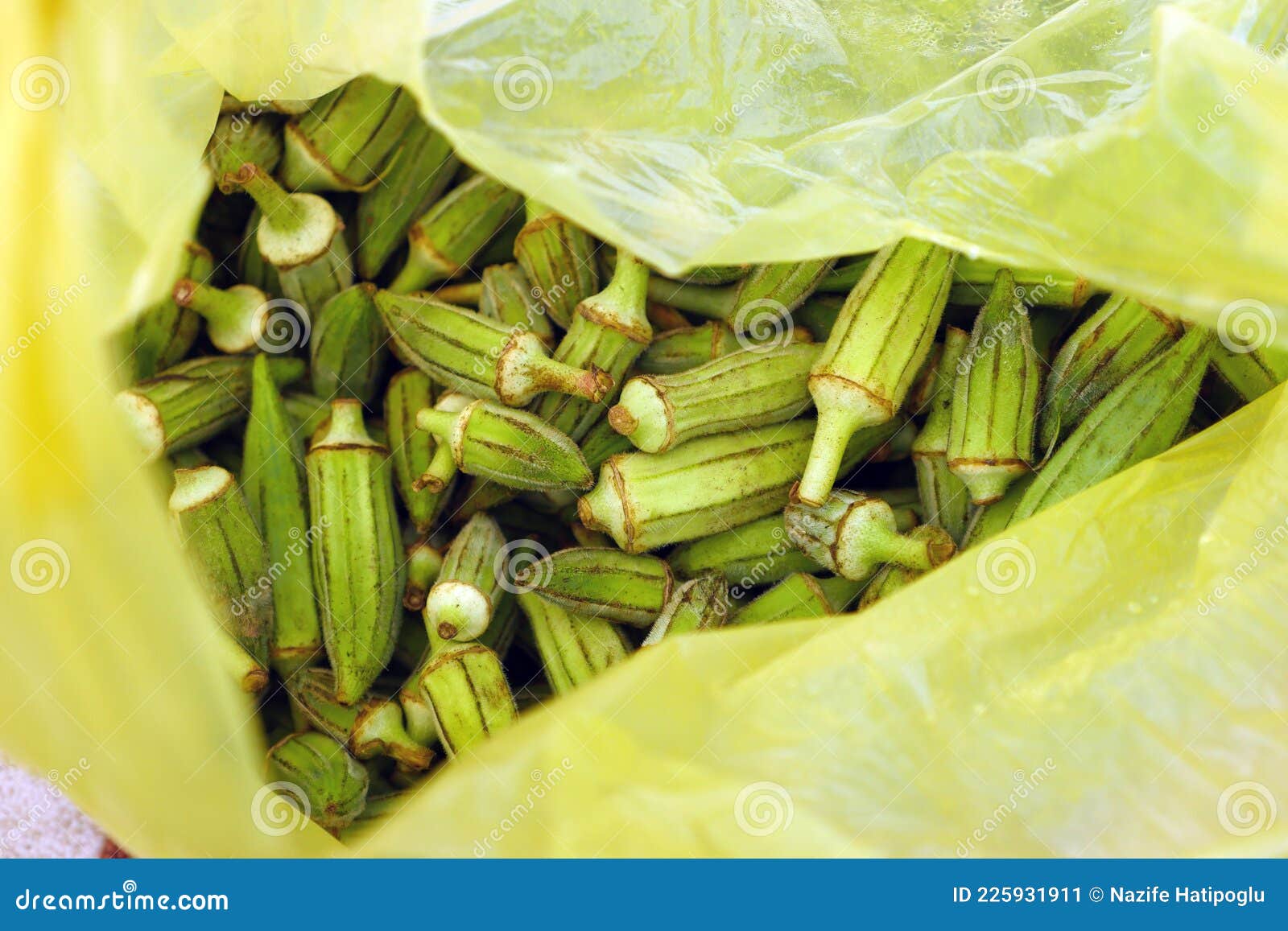 Okra Fruit Borer Stock Photo 212272278