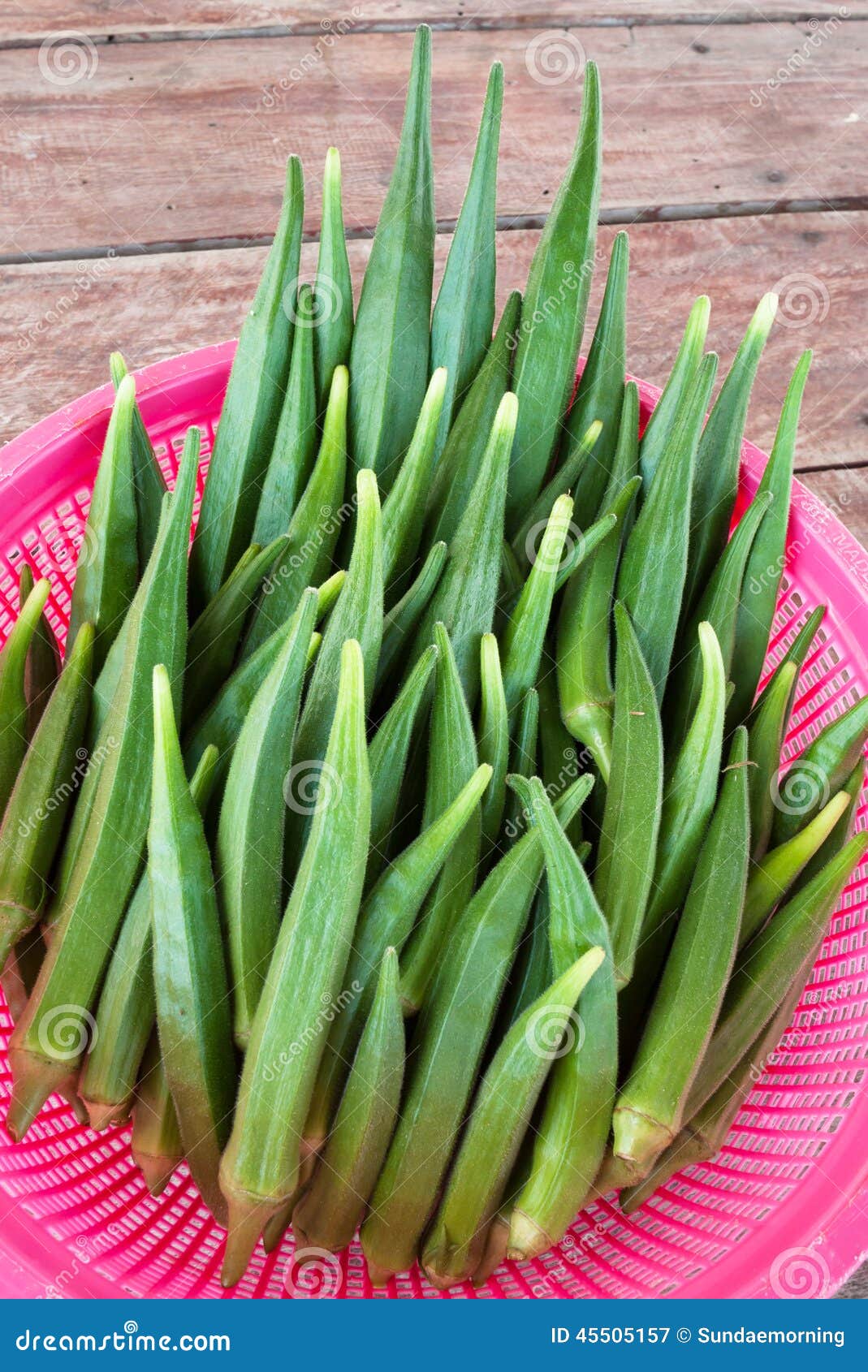 Okra fruit stock image. Image of food, consumption, plant 45505157