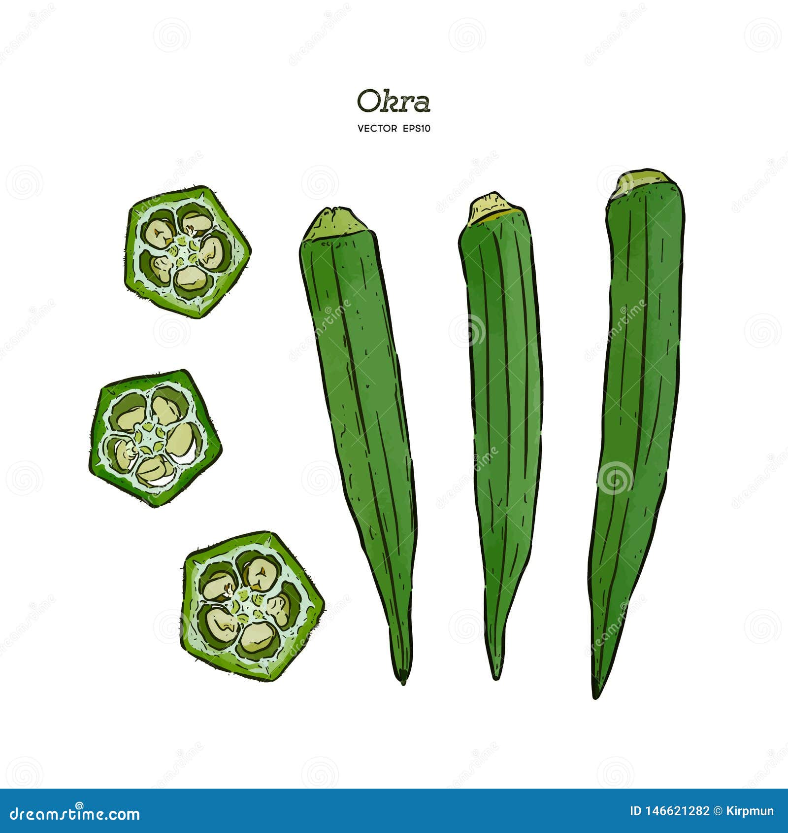 Okra, Hand Draw Sketch Vector Stock Vector Illustration of plant