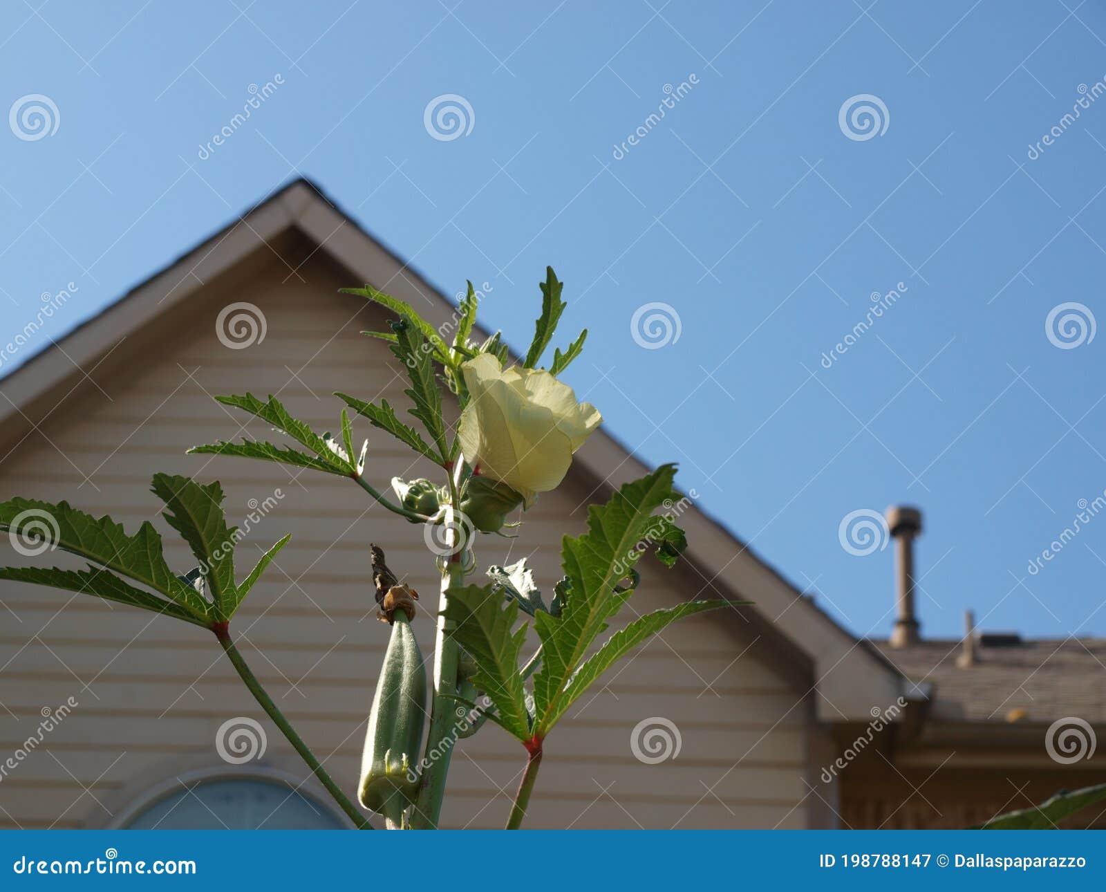 Beauty and Good Eating Go Hand in Hand Stock Image Image of food