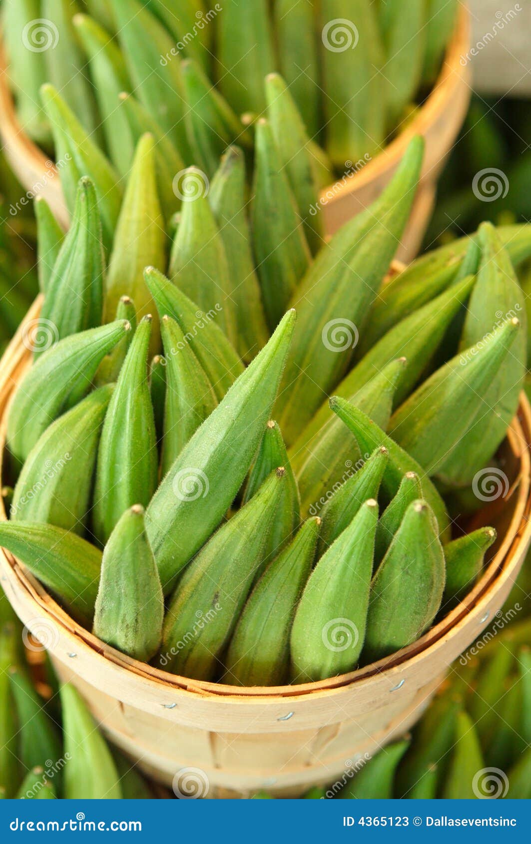 Okra for sale in a basket stock image. Image of orleans 4365123