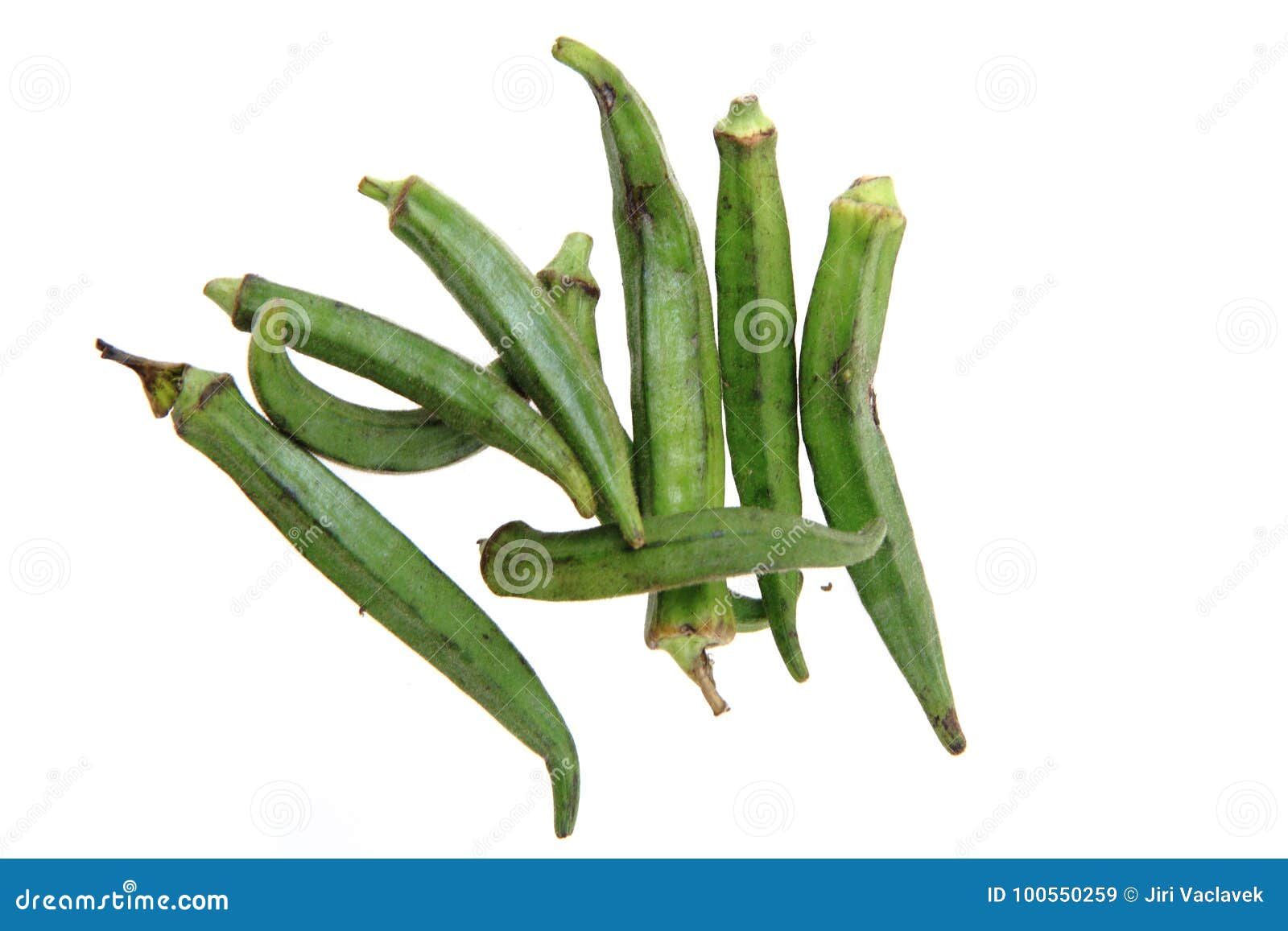 Okra vegetable isolated stock image. Image of culinary 100550259