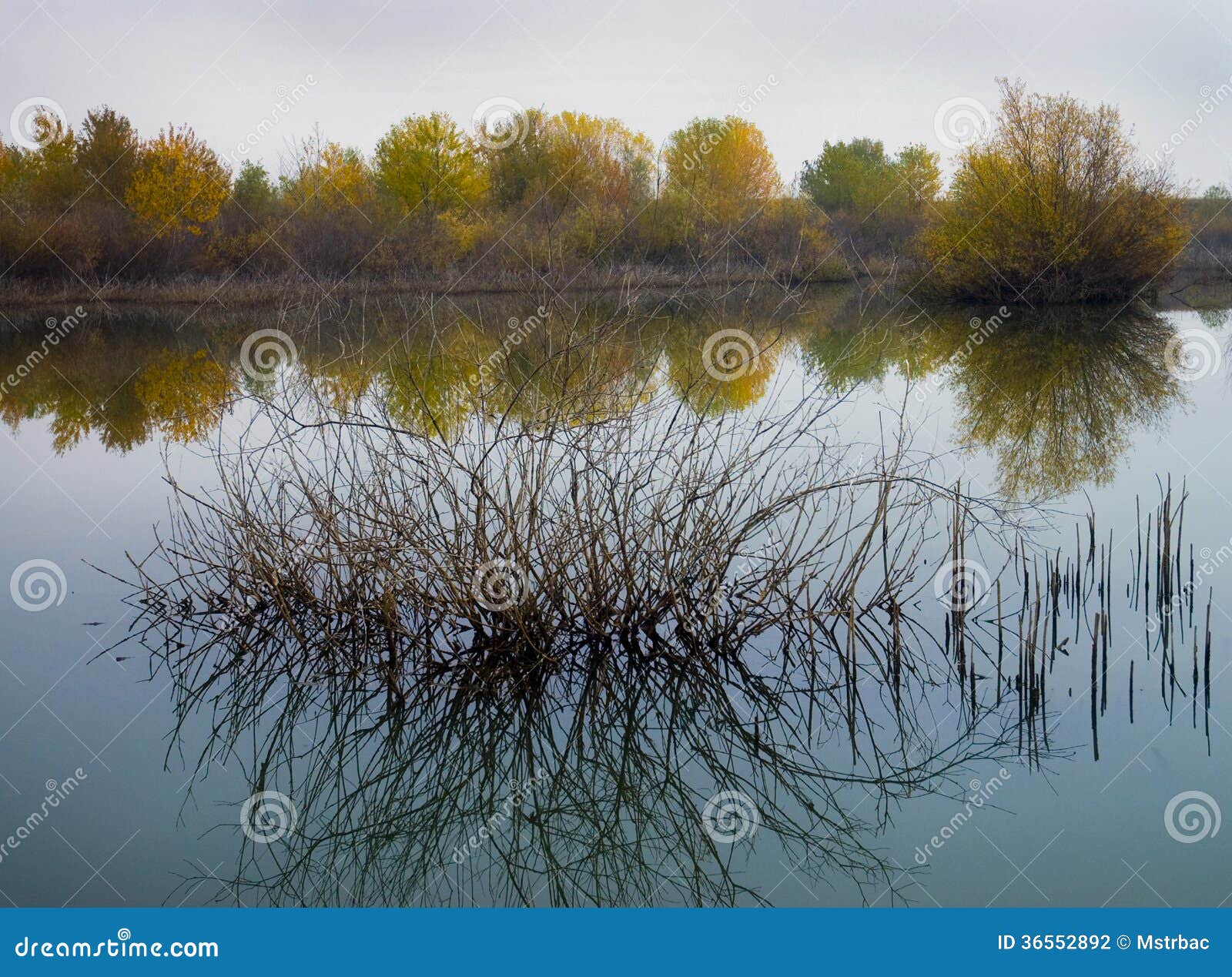 Oktober-Morgen in dem Fluss