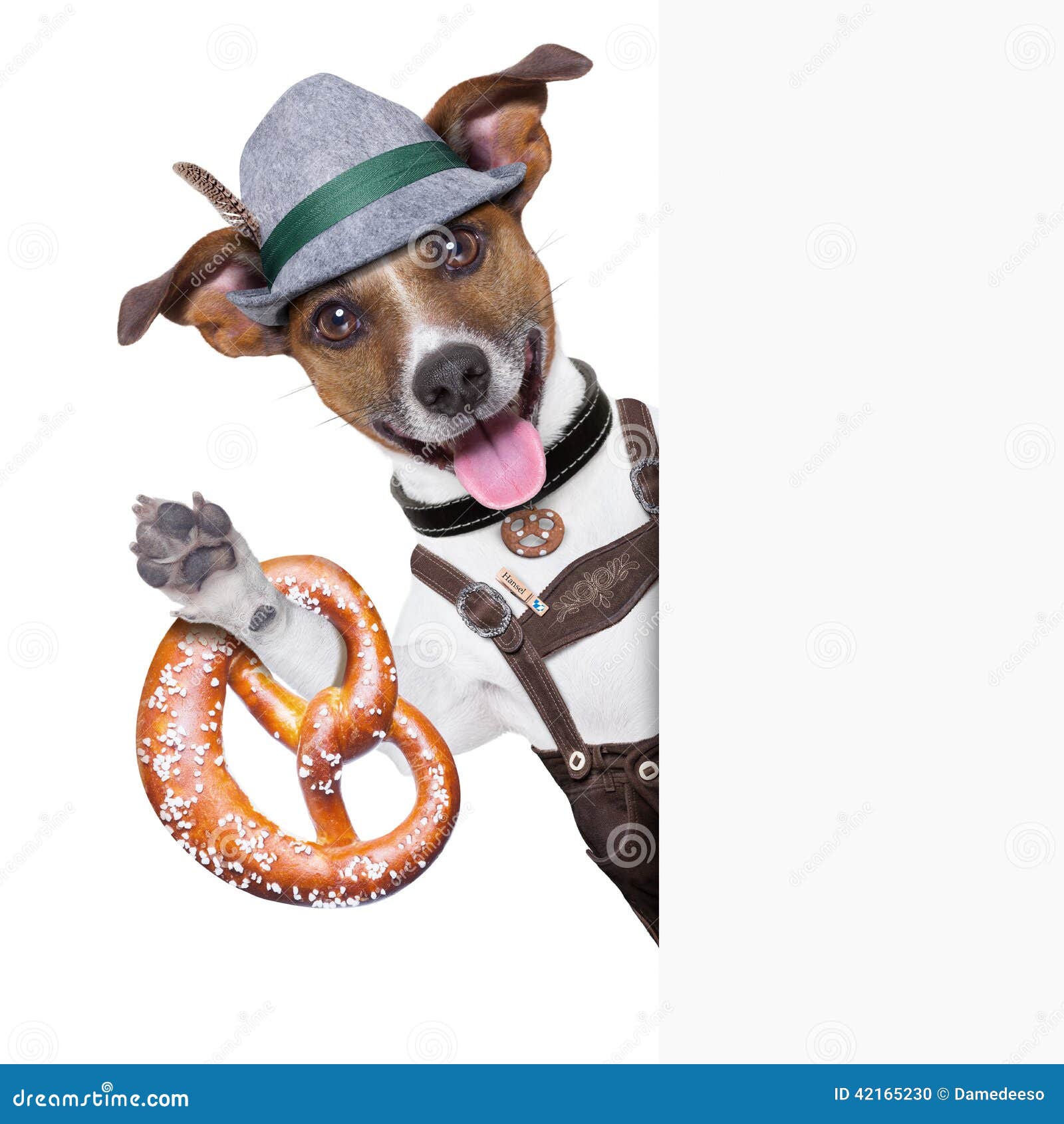 Oktoberfest Hund stockfoto. Bild von exemplar, partei 42165230