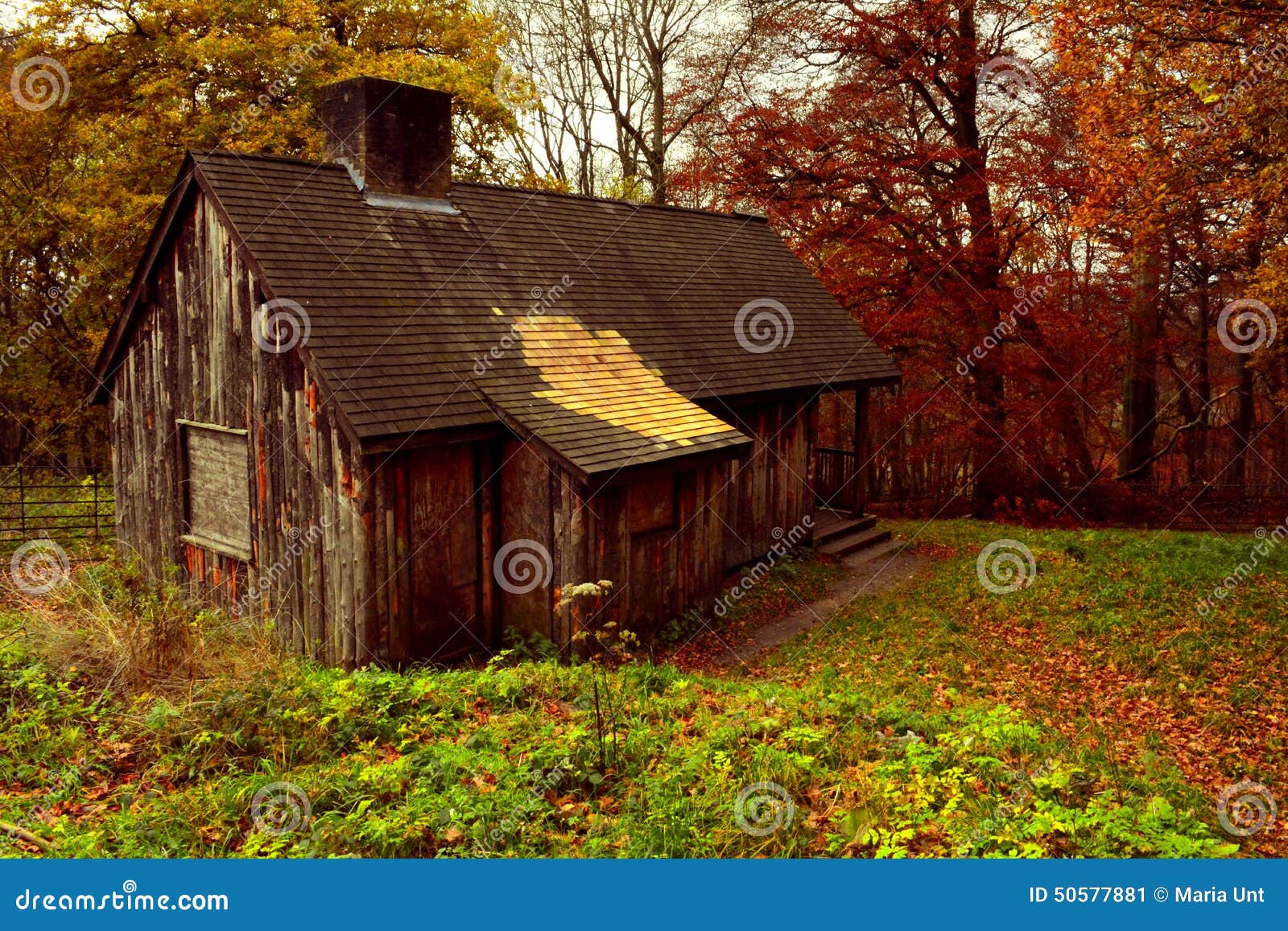 Abandoned Cabin Woods