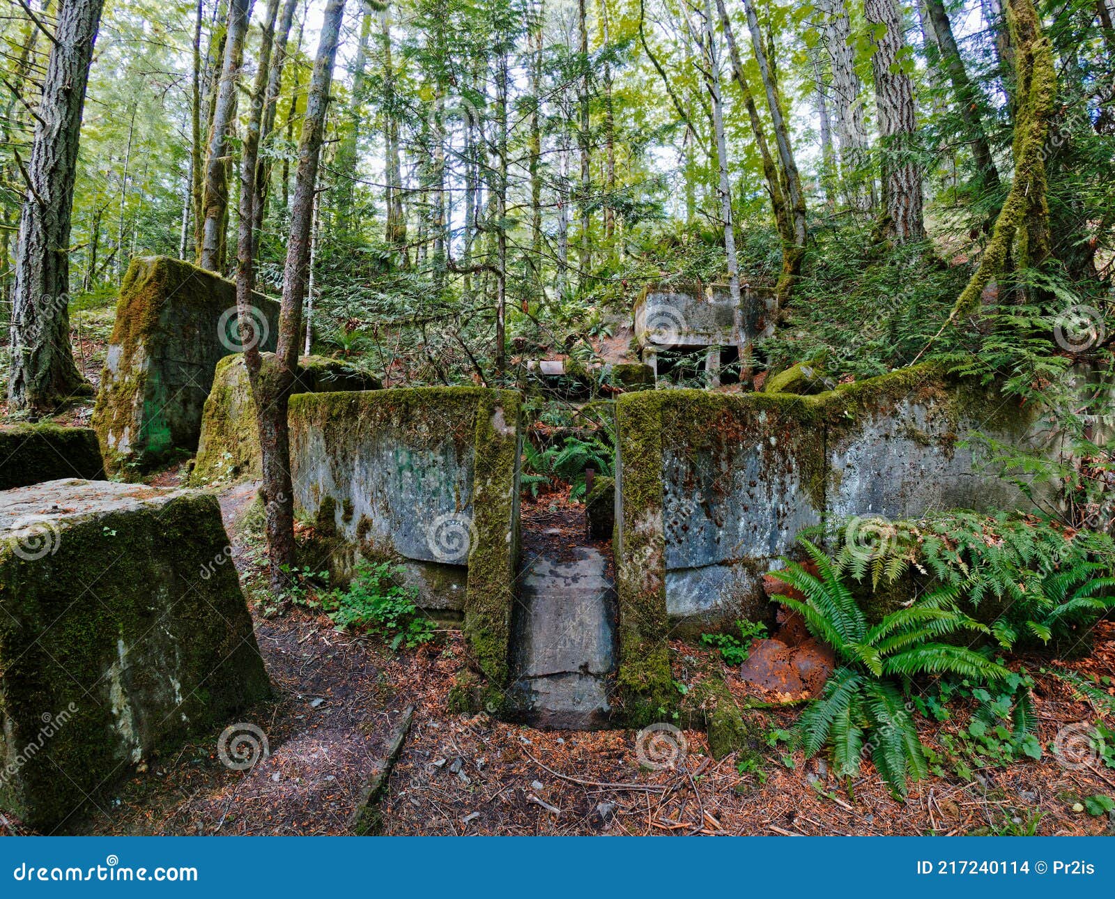 Old Abandoned Concrete Constructions in the Forest Stock Photo Image