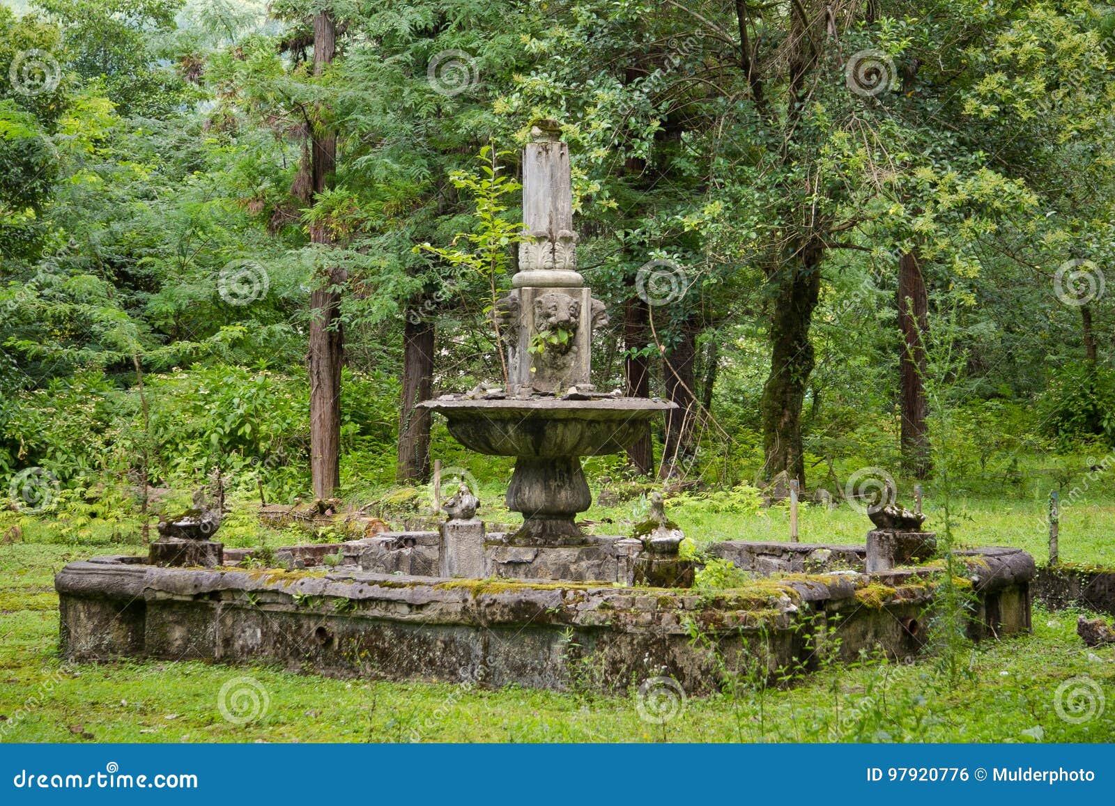 Old Abandoned Ruined Fountain in Overgrown Park Stock Photo Image of