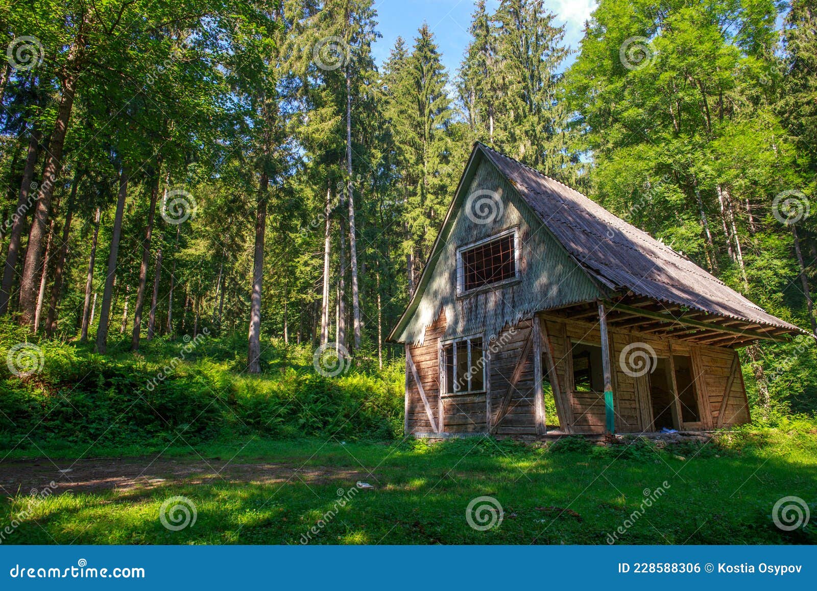 Old Abandoned Wooden House in Green Wild Forest, Dilapidated Hut Stock ...