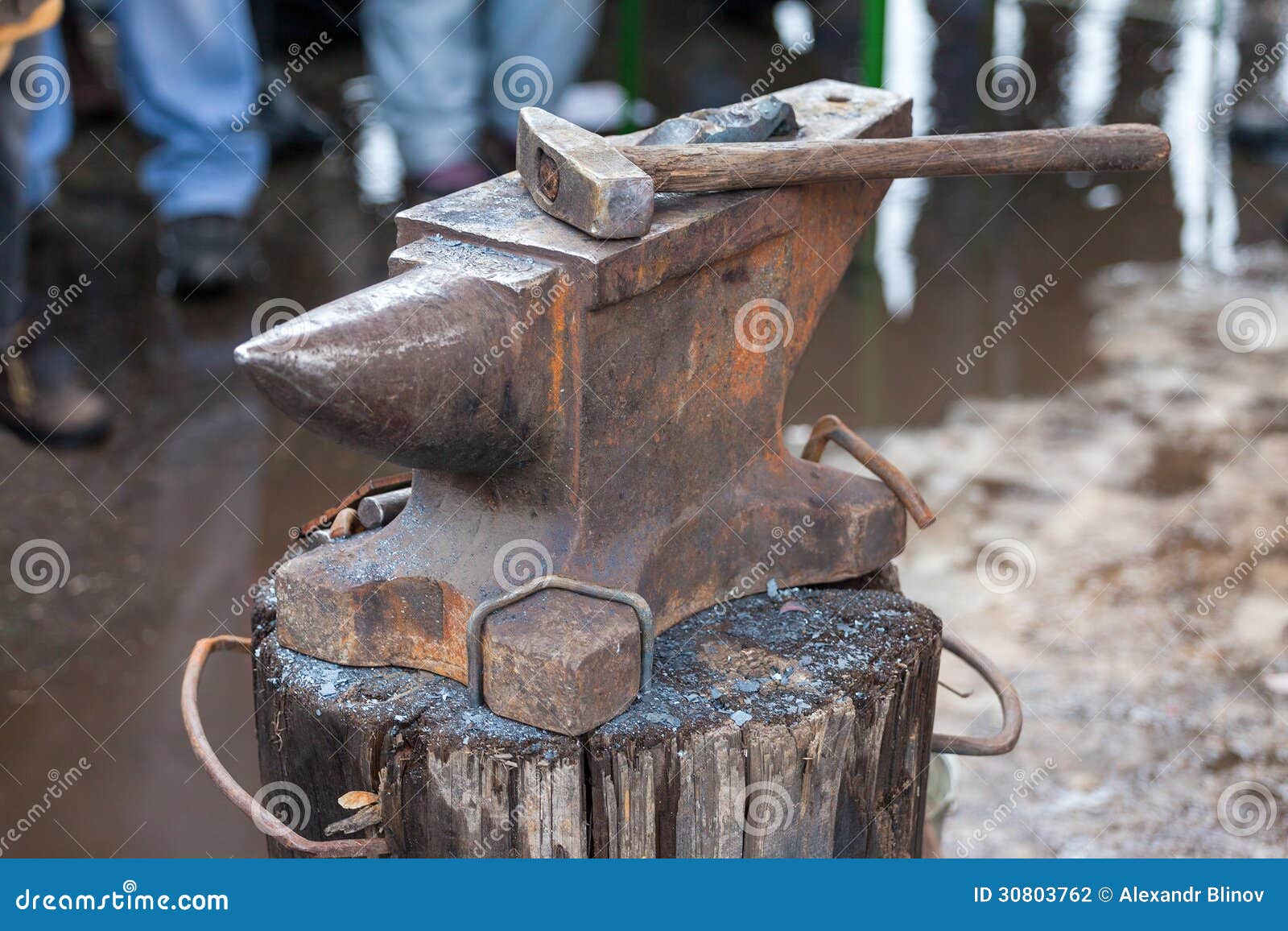 max hammer strength download max hammer strength download