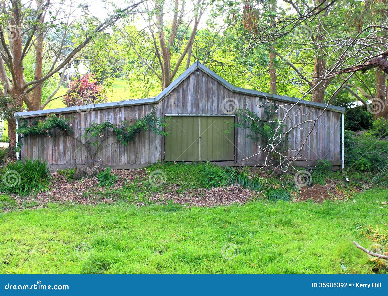 Old Australian farm shed stock photo. Image of aged, decay 