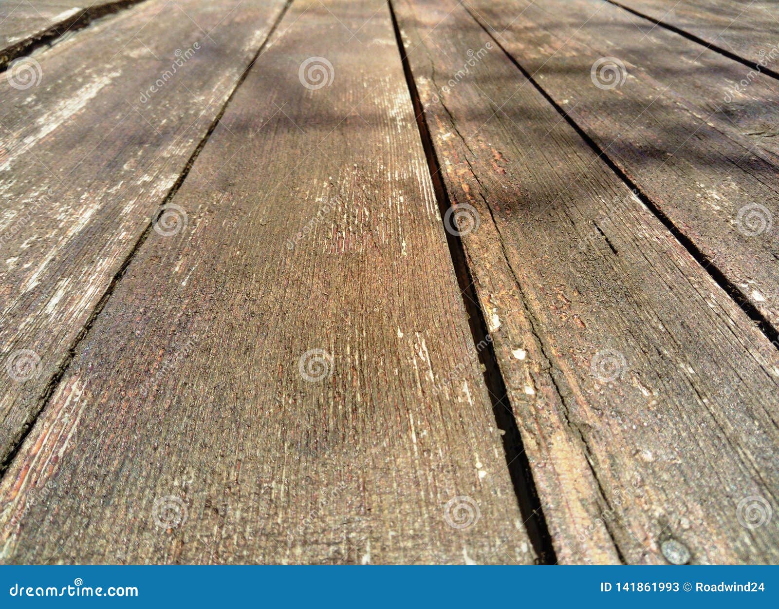 Old barn boards from below stock image. Image of tree 141861993