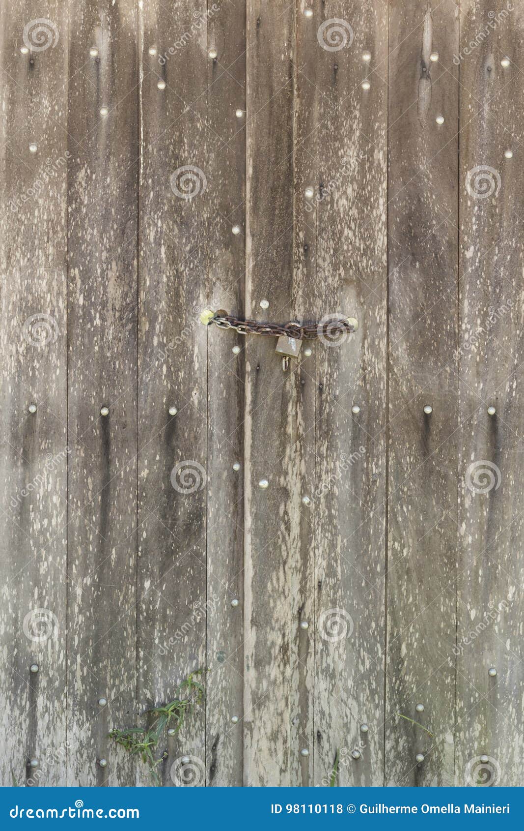 Old Barn Door Made of Wood Locked with Padlock and Chain Stock Photo Image of door, farm 98110118