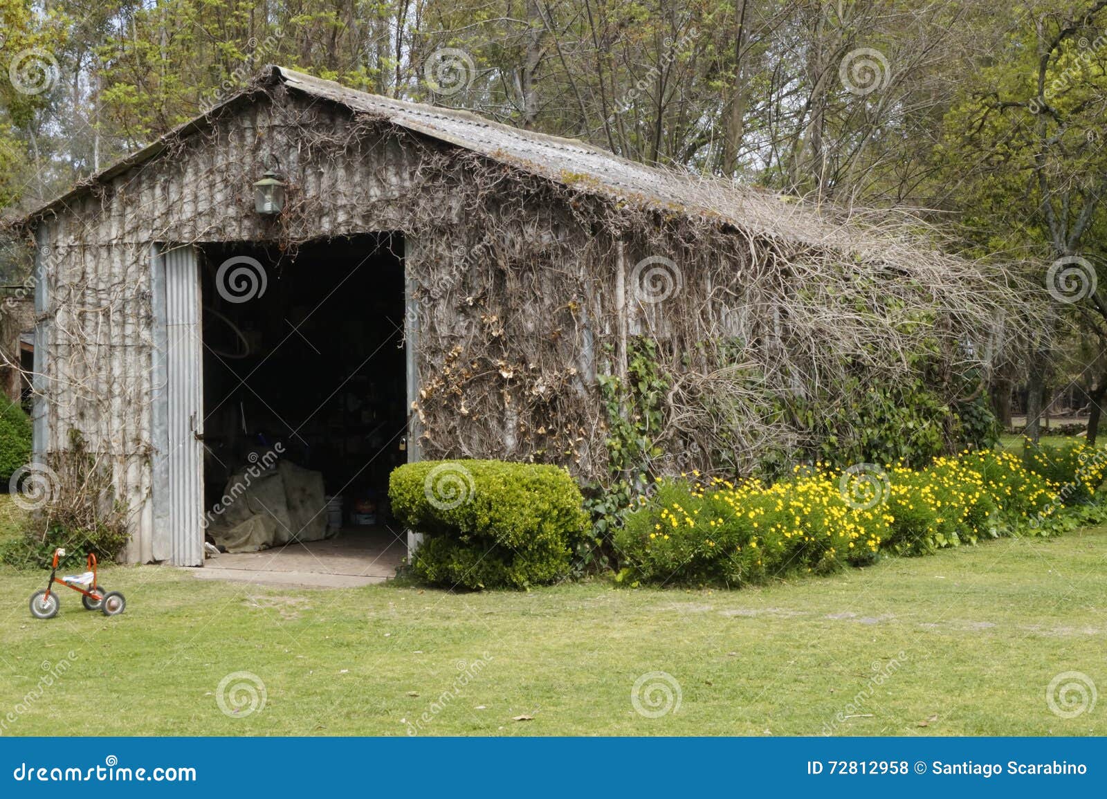 old barn