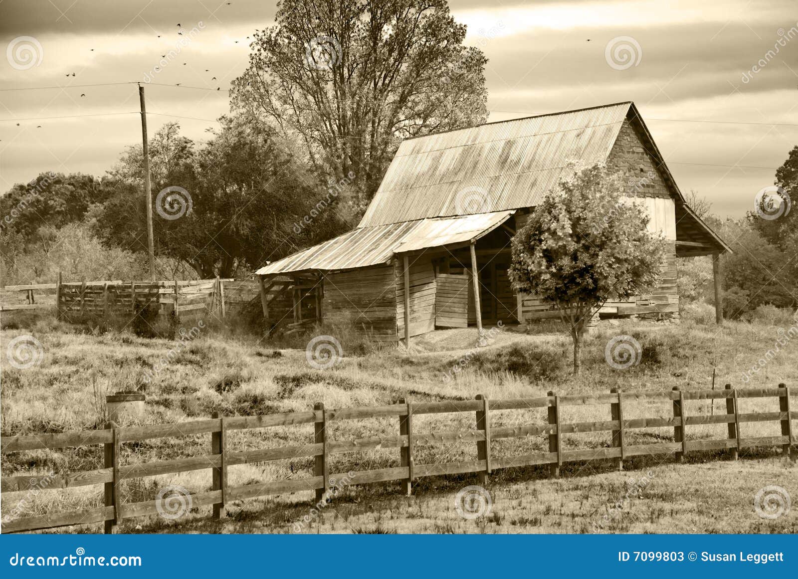 old barn/pasture/sepia