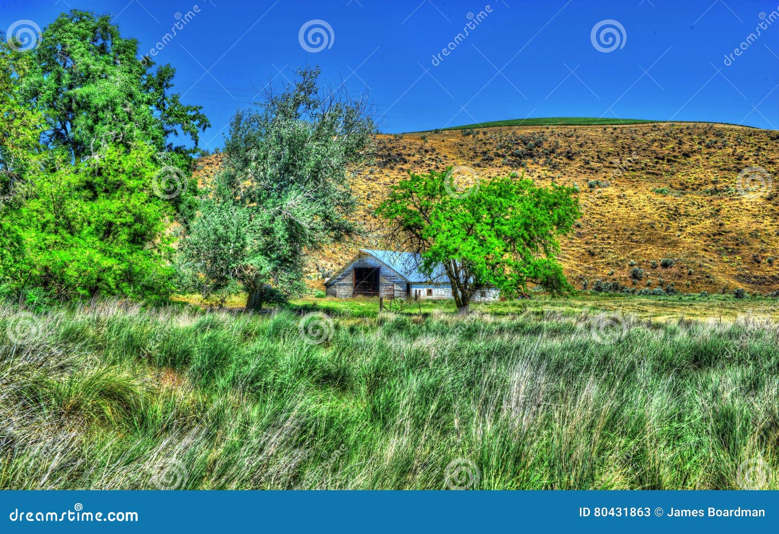 Old Barn in the Tall Grass and Rolling Hills in the Background HDR Stock Image Image of