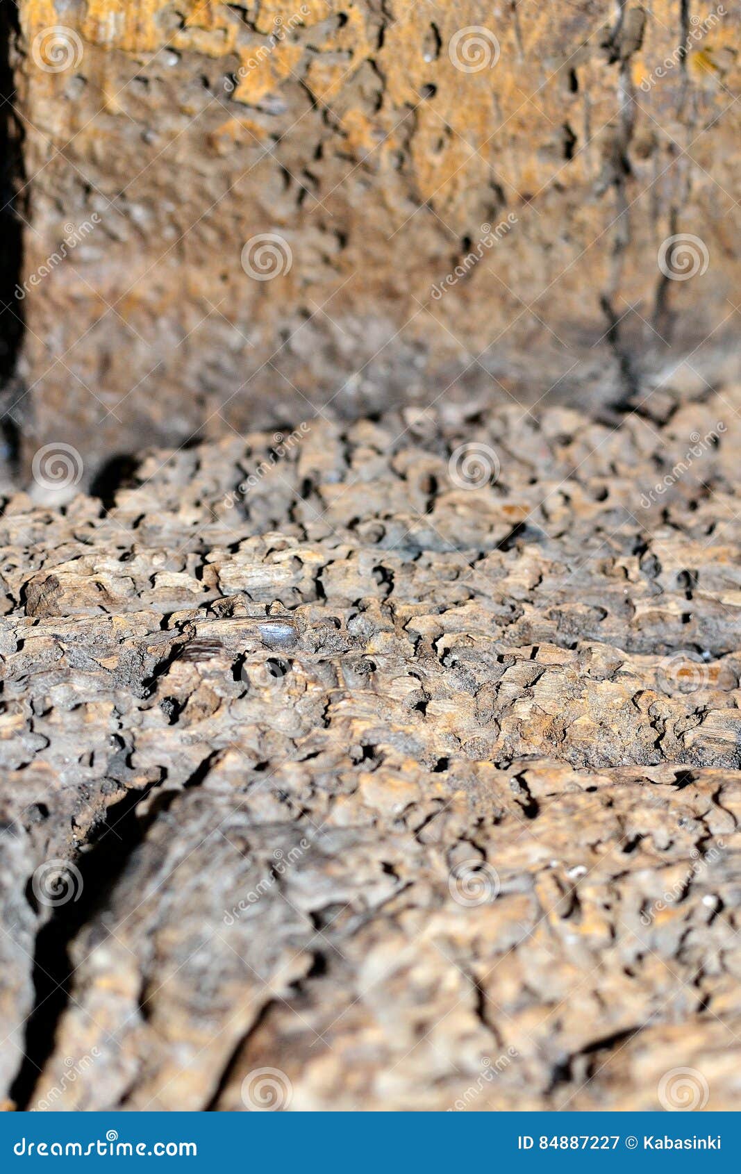 Old Barn Wood Background Texture Stock Image Image Of Background