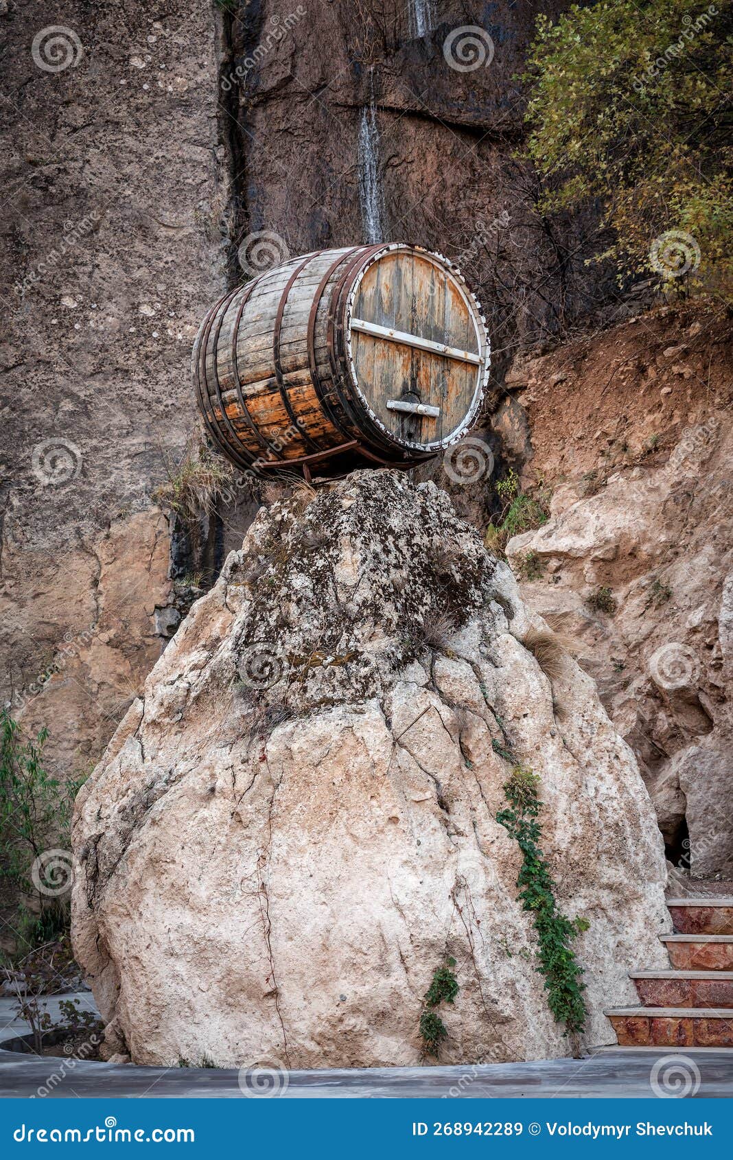 Old Barrel with Vine on the Rock Stock Image Image of vineyard