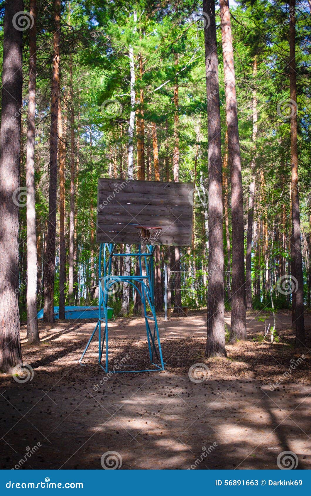Old Basketball Court in a Pine Forest Stock Image Image of pine