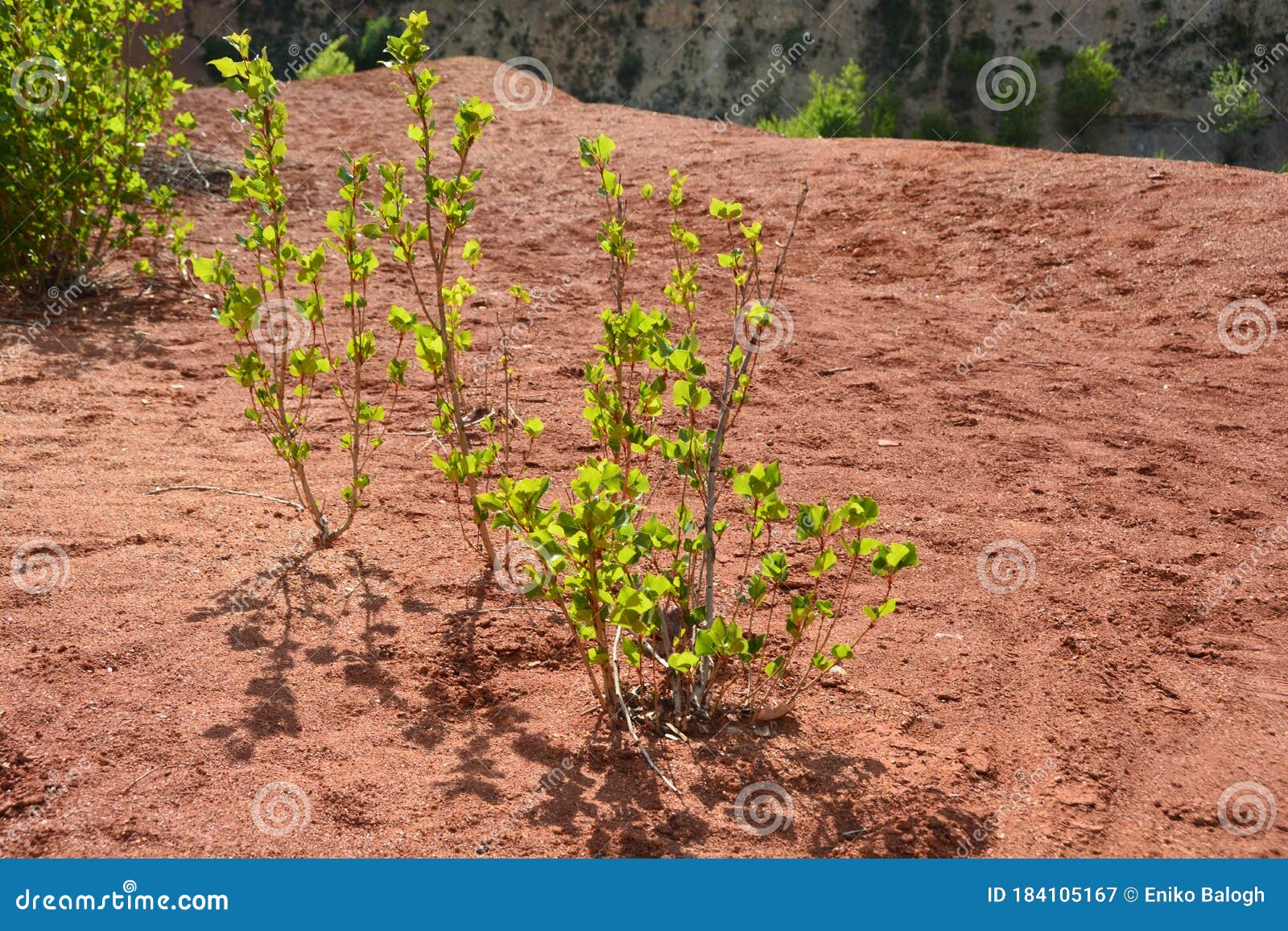 Old Bauxite Mine on a Sunny Day Stock Image Image of ferrum, gallium