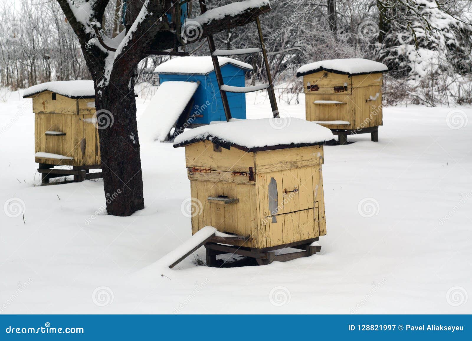 Old bee hives in winter. stock image. Image of hive 128821997