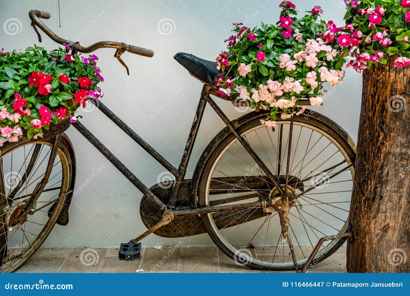 Old bicycle with flowers stock image. Image of transport 116466447