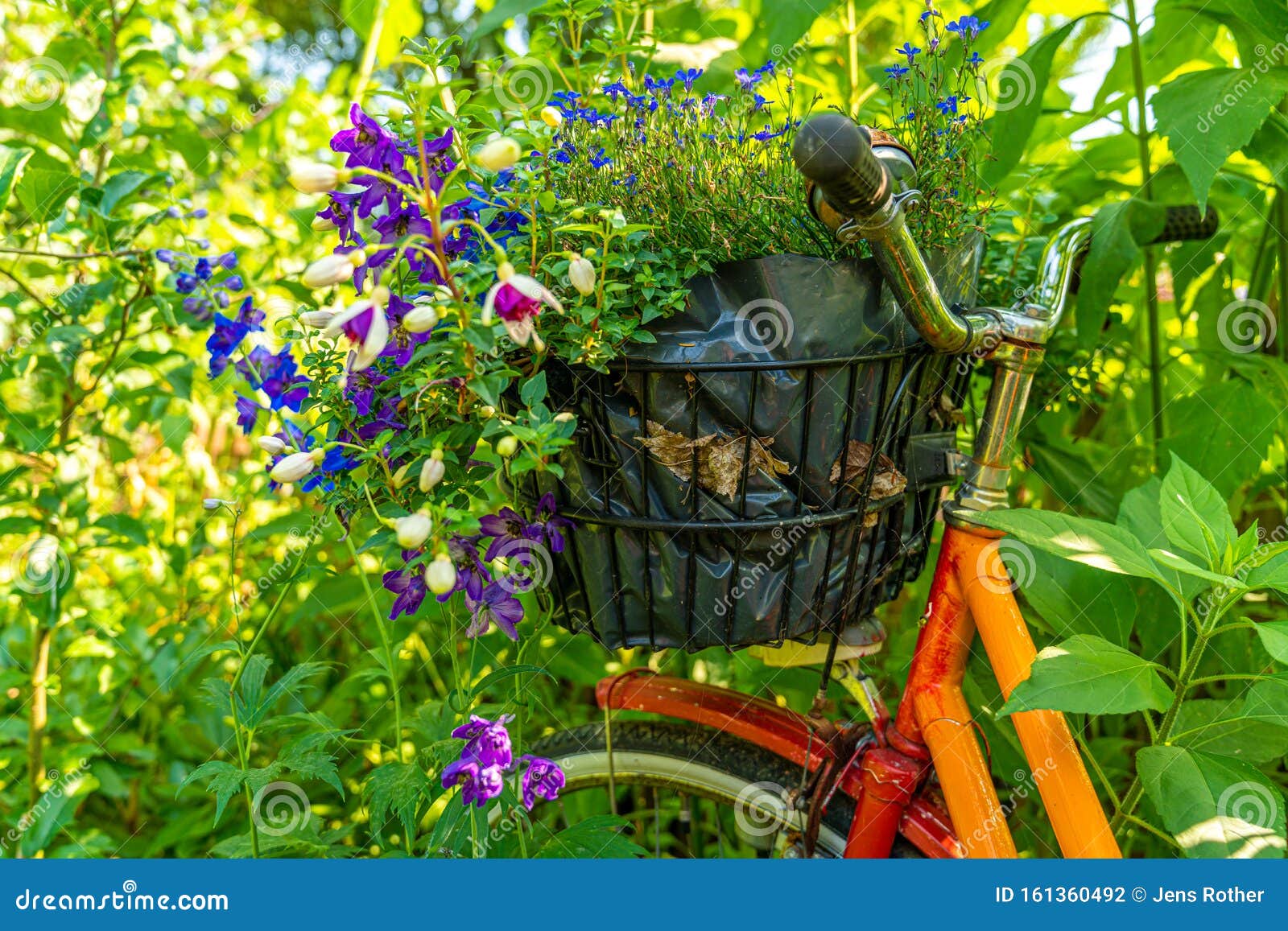 An Old Bicycle in a Flower Bed As Decoration Stock Photo Image of