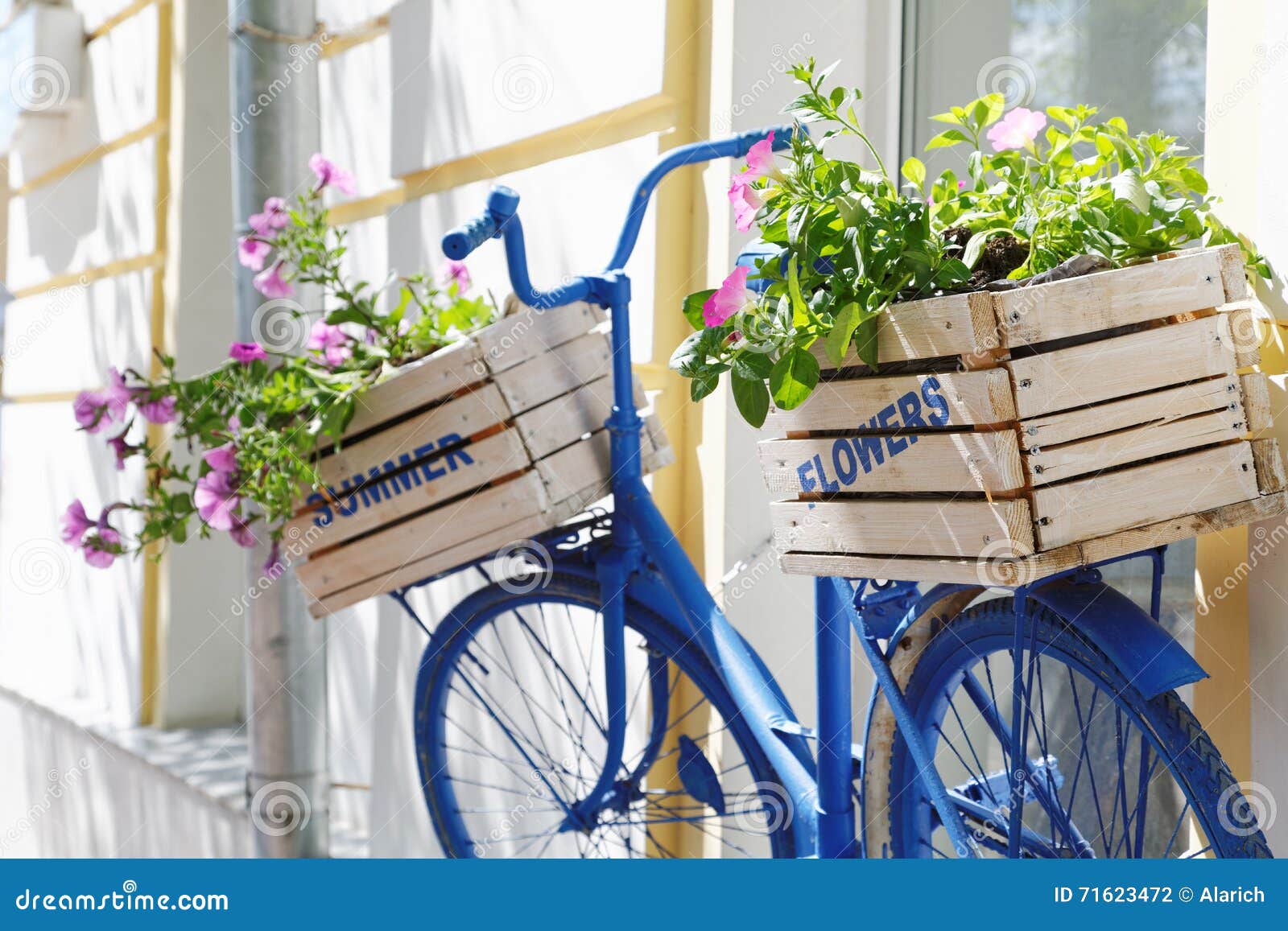 Old bicycle with flowers stock photo. Image of basket 71623472