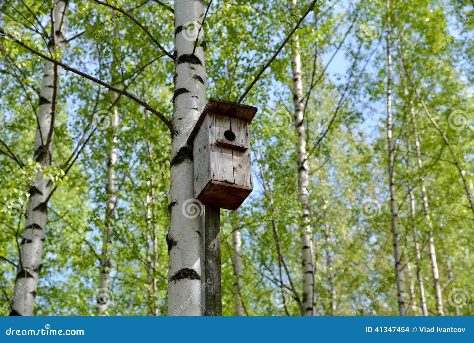 Old bird house. stock photo. Image of birch, nest, object 41347454