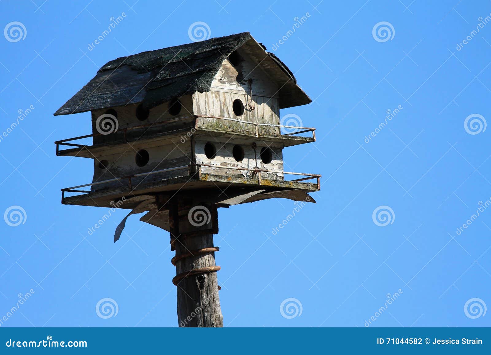 Old Bird house stock photo. Image of bird, house, blue 71044582