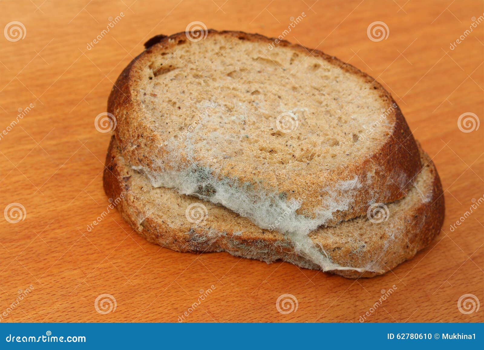Кусочек хлеба с плесенью. Белая плесень на хлебе. Плесень на кусочке хлеба. Черная плесень на хлебе. Плесень на белом куске хлеба.