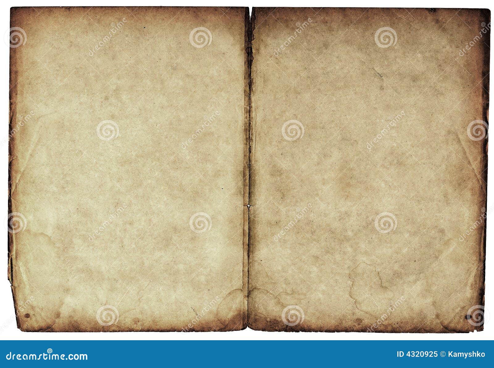 Old Open Book with Empty Pages Stock Image - Image of background,  isolation: 118507651