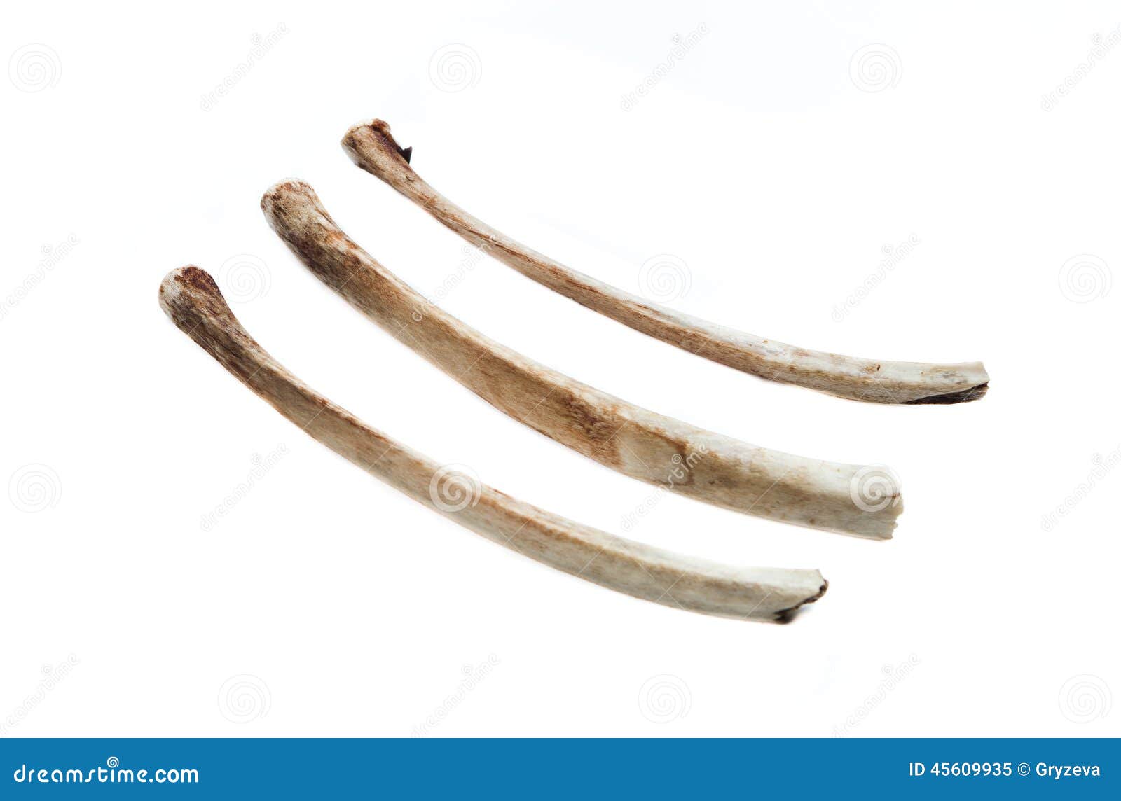 Old bone. Колода на белом фоне изображены кости.