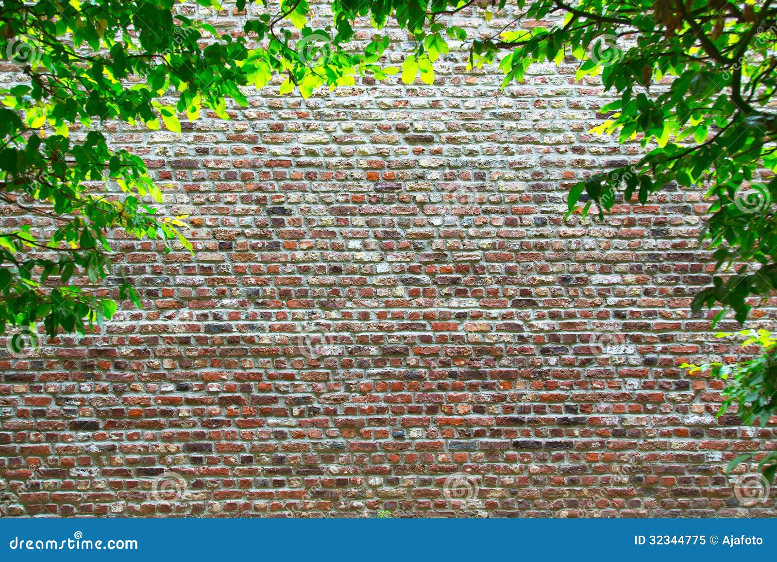 Old brick wall stock image. Image of structure, trees 32344775
