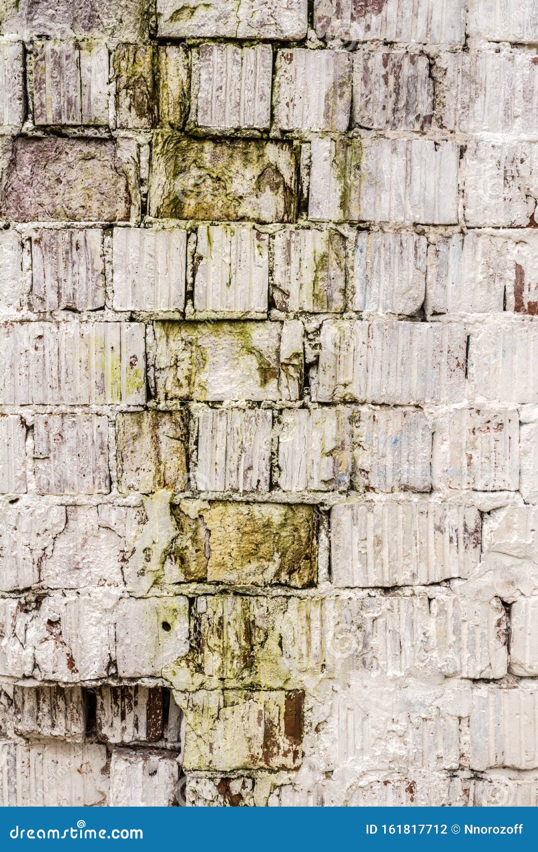 Brick Wall is Painted White, Green Mold on the Wall, Closeup