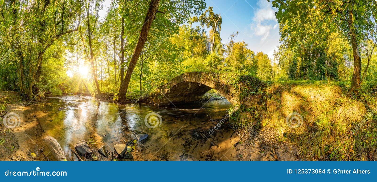 Old Bridge Over A Creek In The Forest Stock Photo Image Of Beautiful