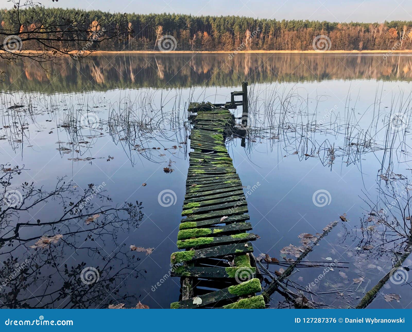 old bridge in polish natural park
