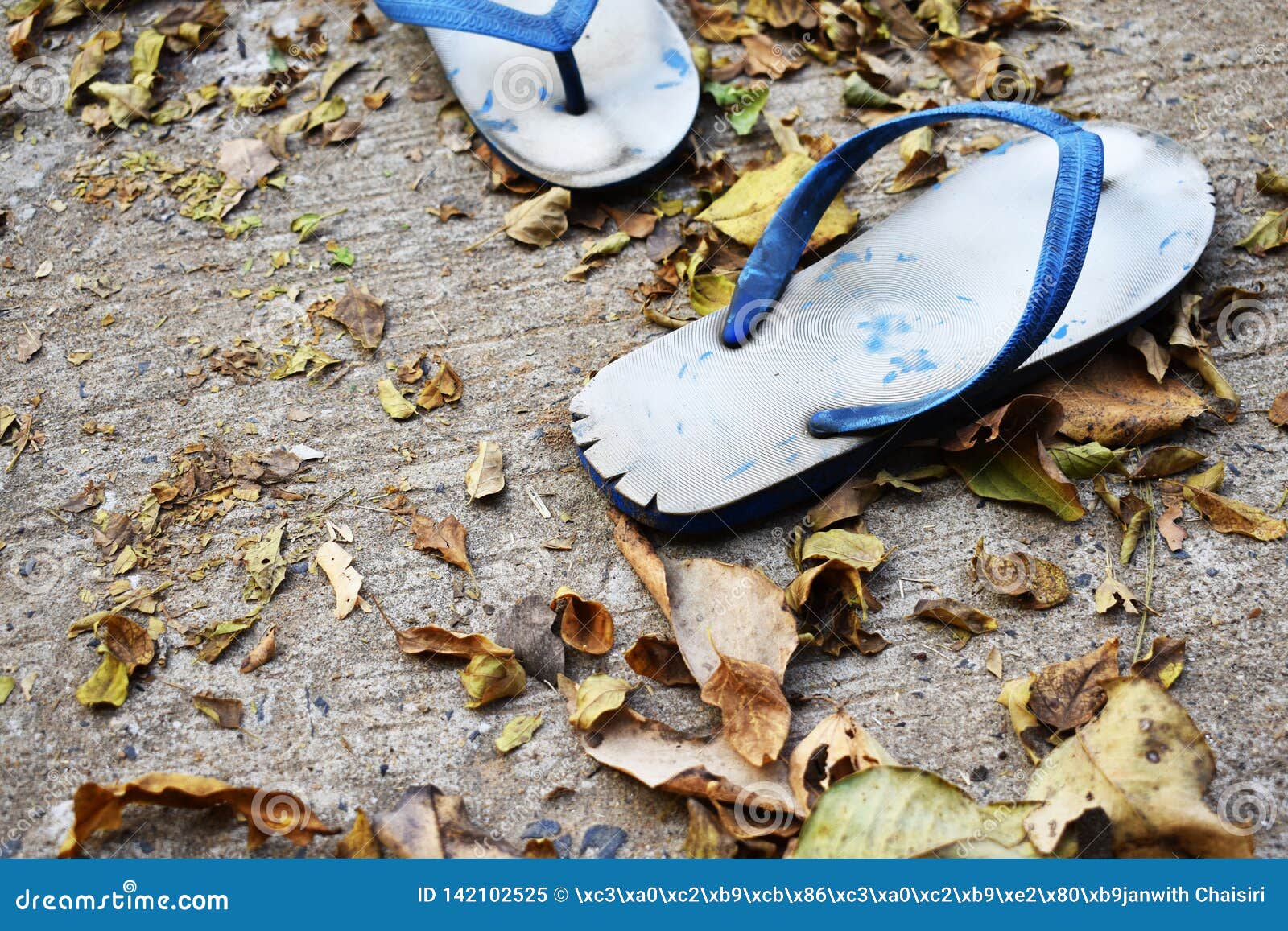 Old And Broken Slippers Stock Image | CartoonDealer.com #142102525