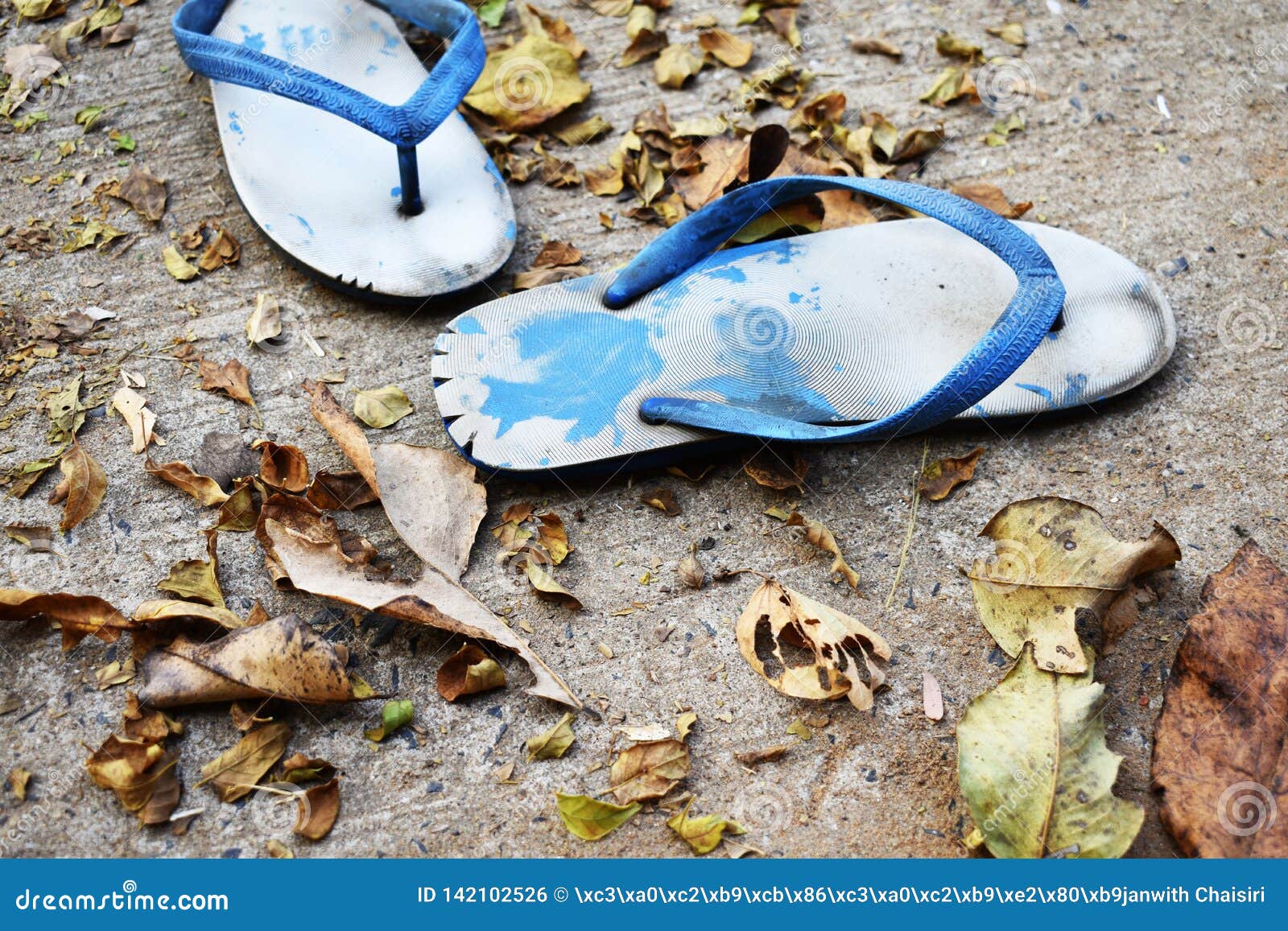 Old And Broken Slippers Stock Image | CartoonDealer.com #142102525